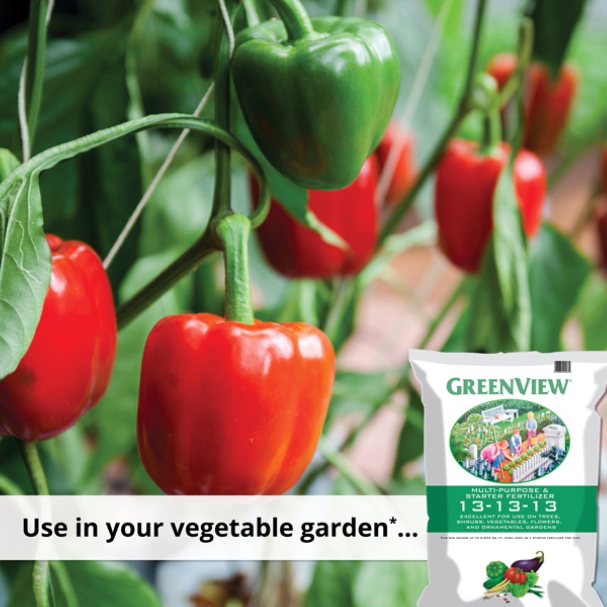 GreenView Multi-Purpose and Starter Fertilizer, 13-13-13 for Trees, Shrubs, Flowers, Vegetables & New Lawns, 33lb