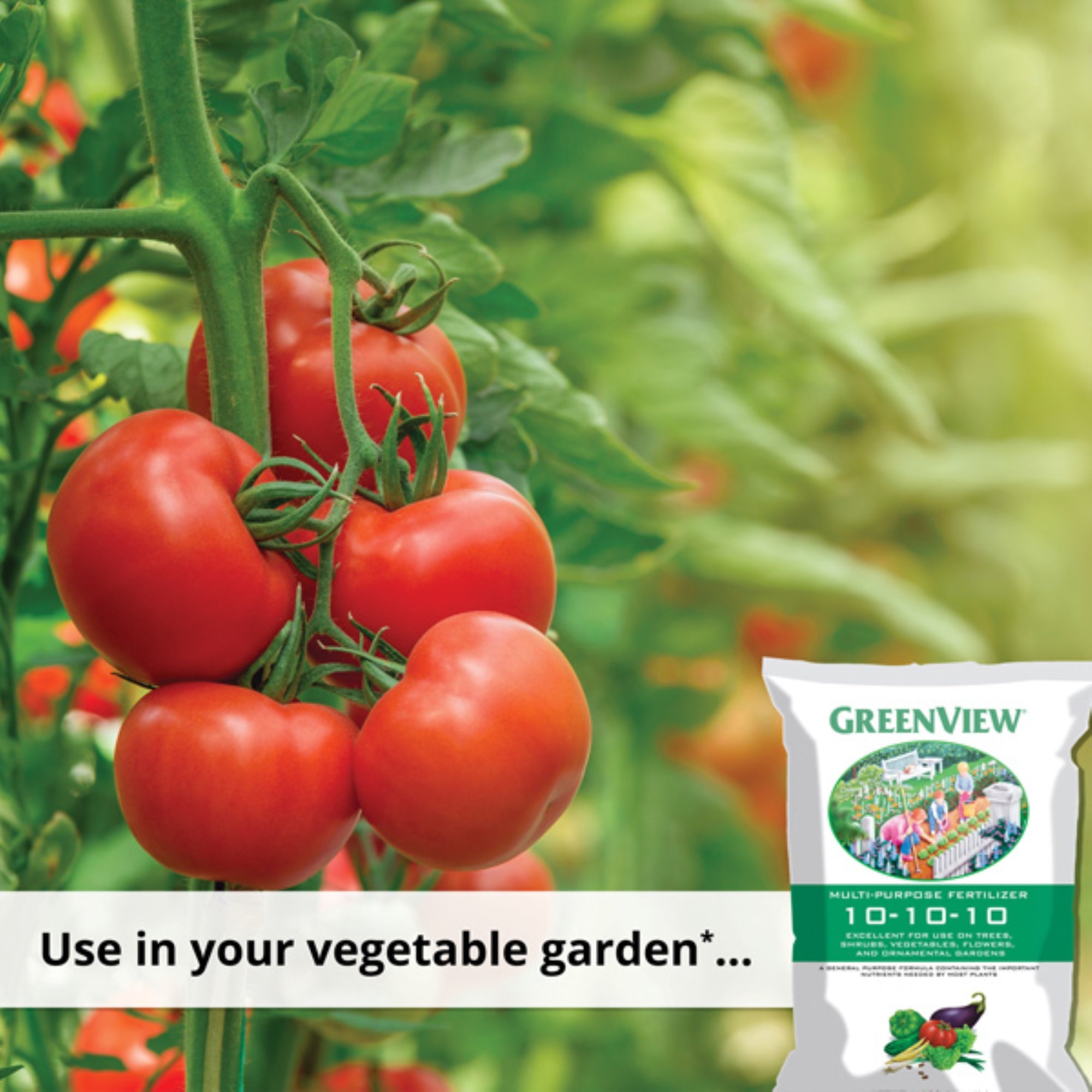 GreenView Multi Purpose Fertilizer 10-10-10 Granular Fertilizer for Lawns, Vegetables, Flowers, Trees & Shrubs, 40lb