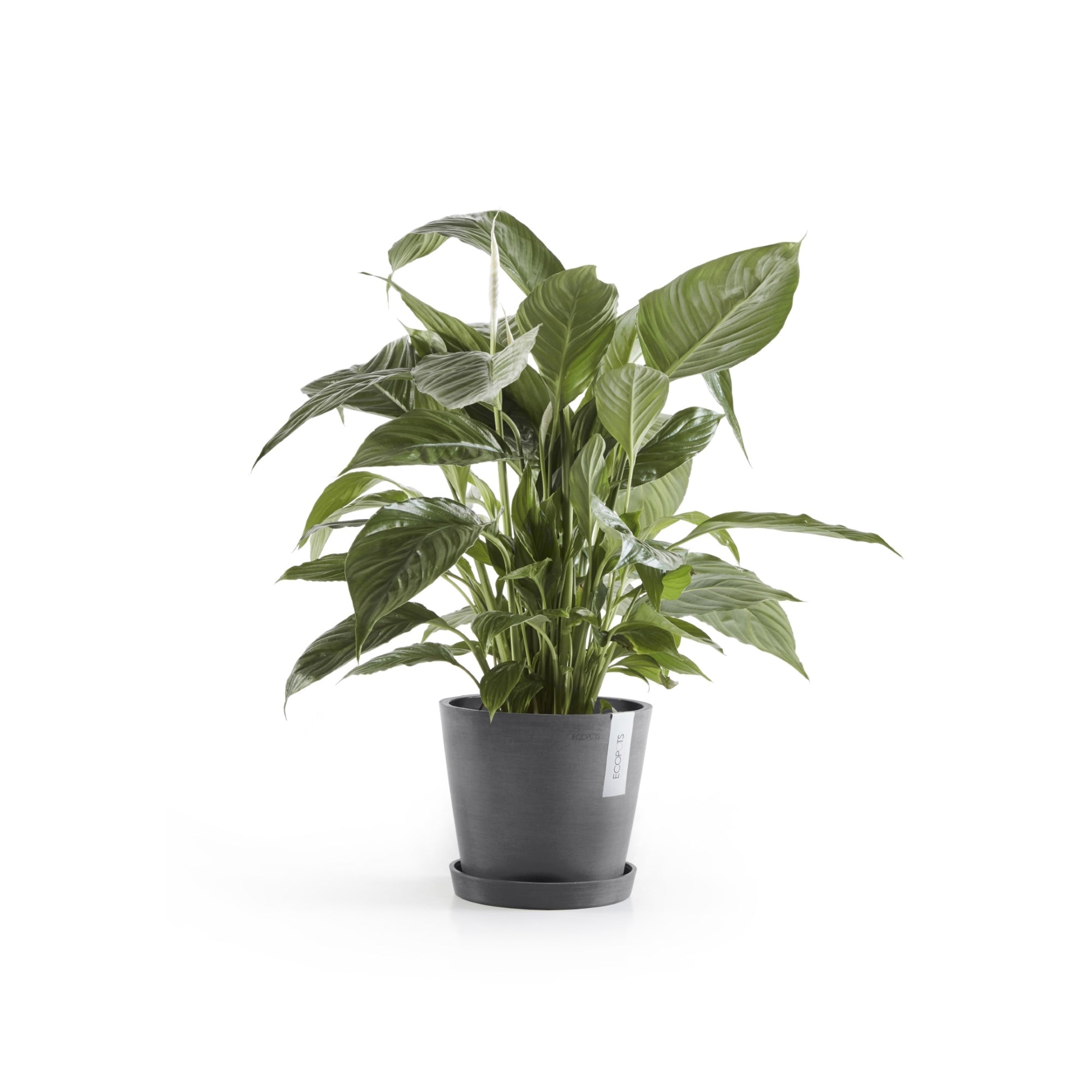 Ecopots Amsterdam Durable Modern Round In/Outdoor Recycled-Based Composite Flower Pot Planter