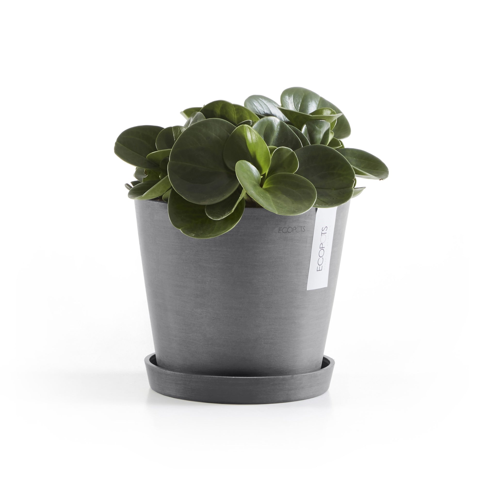 Ecopots Amsterdam Durable Modern Round In/Outdoor Recycled-Based Composite Flower Pot Planter