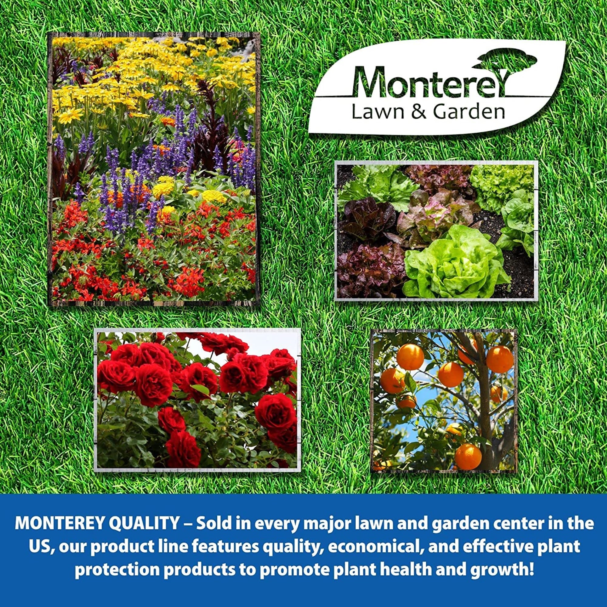 Monterey Liqui-Cop Copper Fungicide Garden Spray
