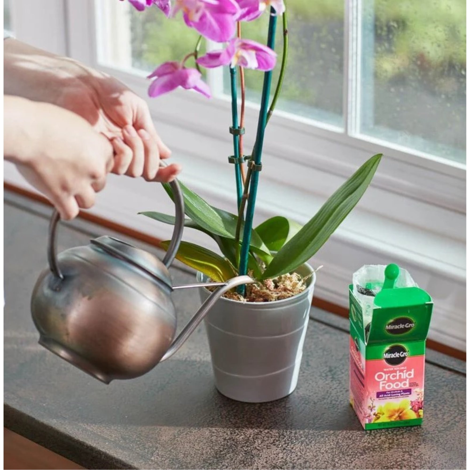 Miracle-Gro 30-10-10 Water Soluble Orchid Food, 8oz
