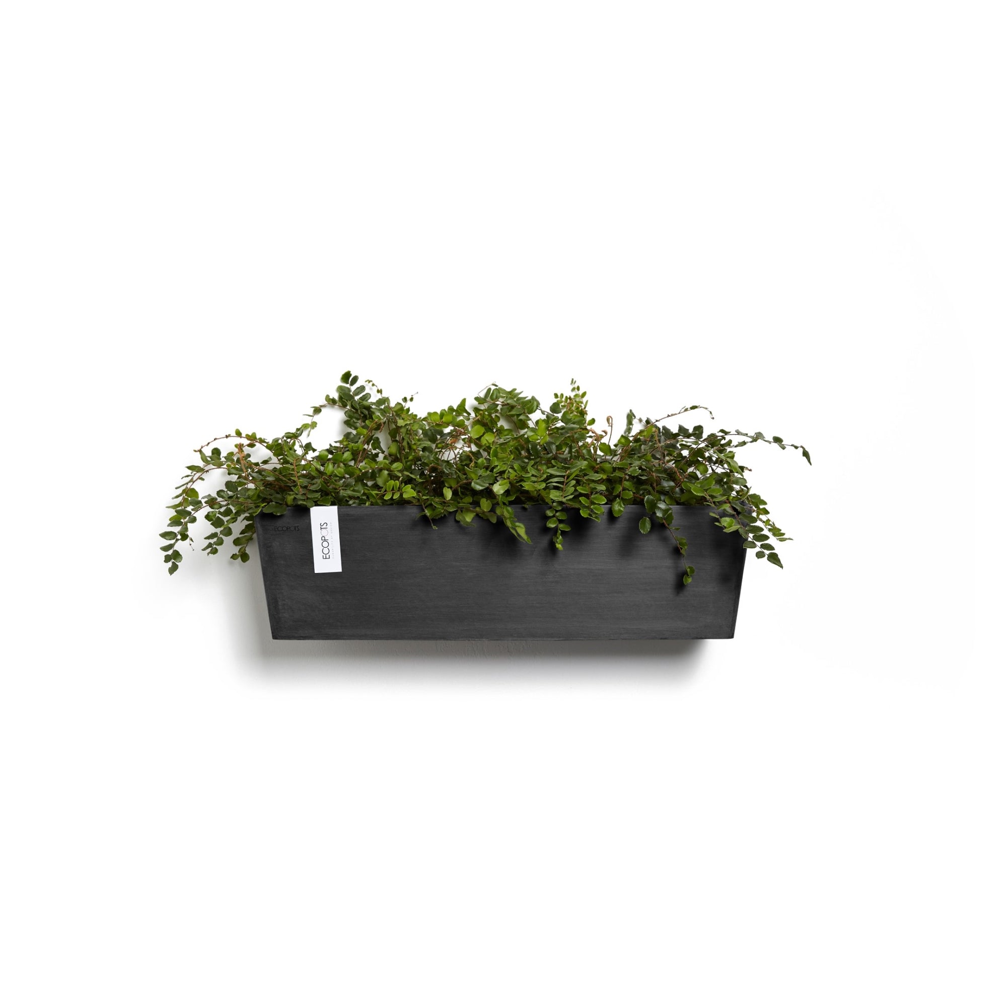 Ecopots Manhattan Wall Durable Modern Rectangular Indoor/Outdoor Recycled-Based Composite Hanging Flower Planter
