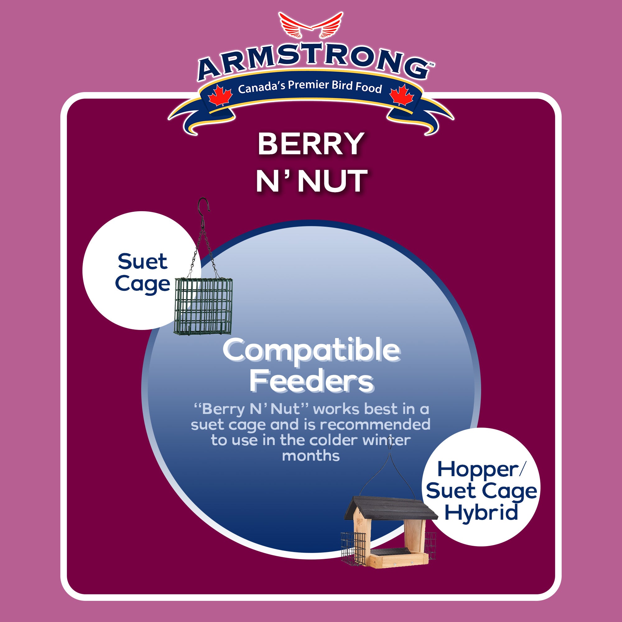 Armstrong Wild Bird Food Berry N' Nut Suet Cake, 11.3oz (Pack of 12)