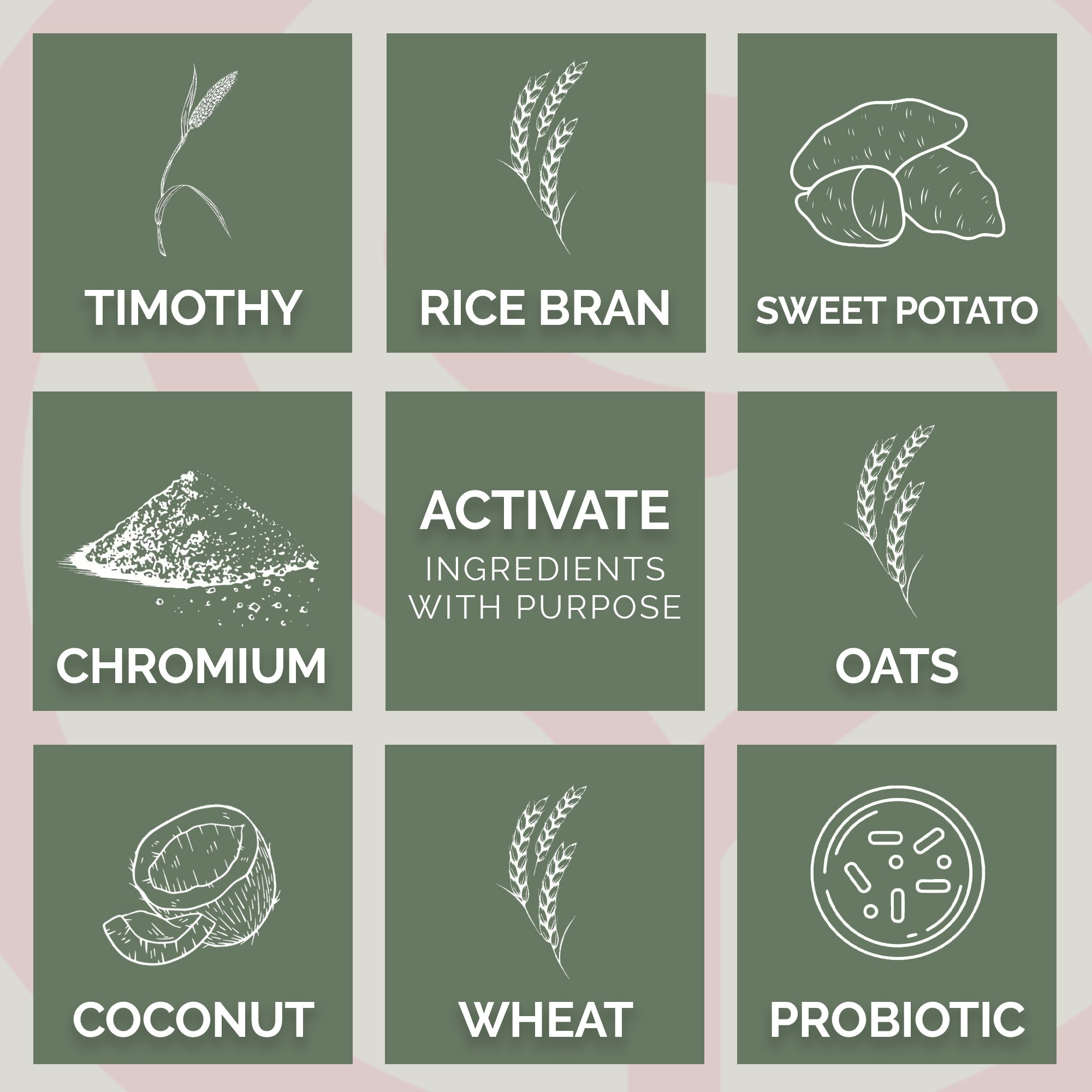 Pink Rose Organix PRO Series Activate Energy Builder Equine Feed, 40lbs