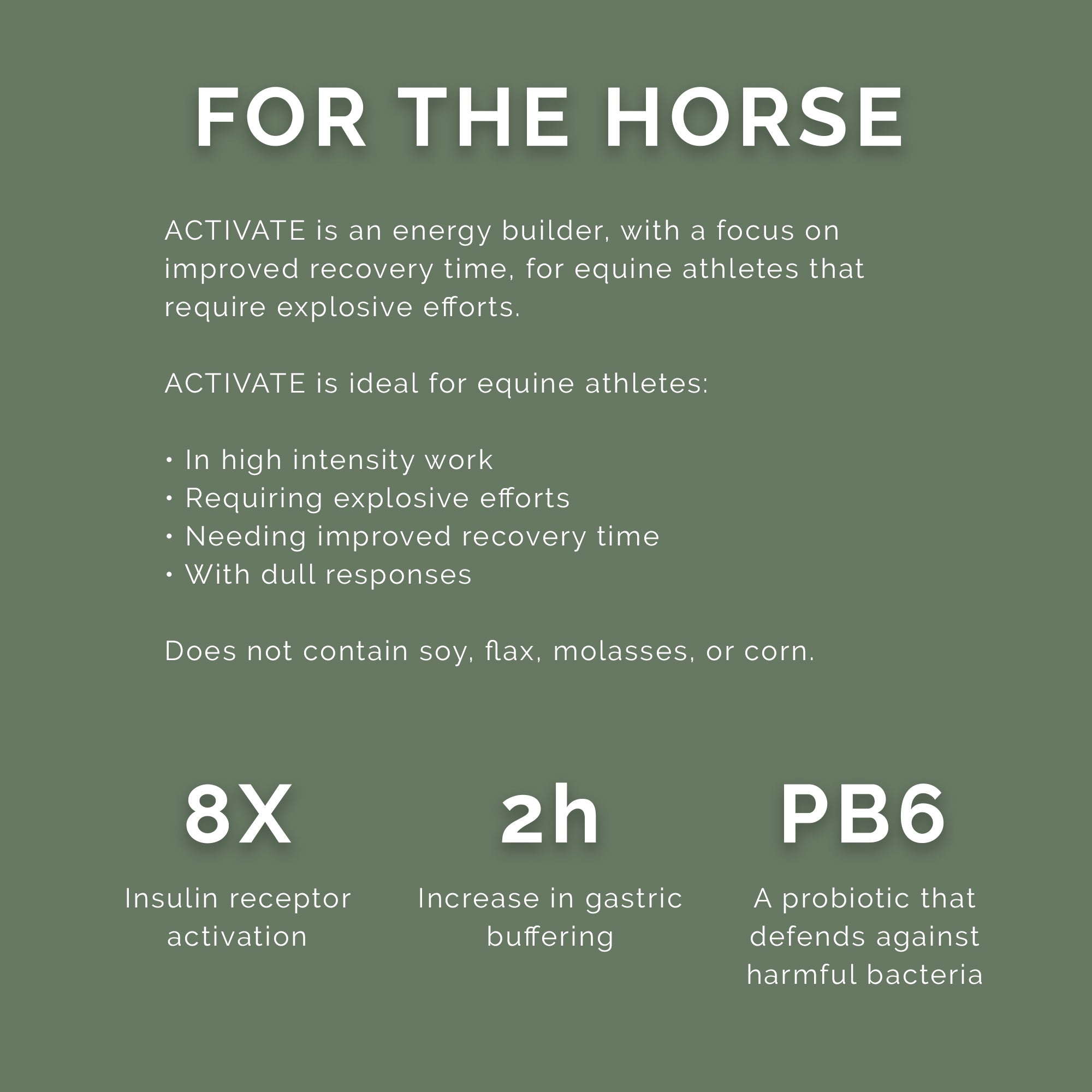 Pink Rose Organix PRO Series Activate Energy Builder Equine Feed, 40lbs