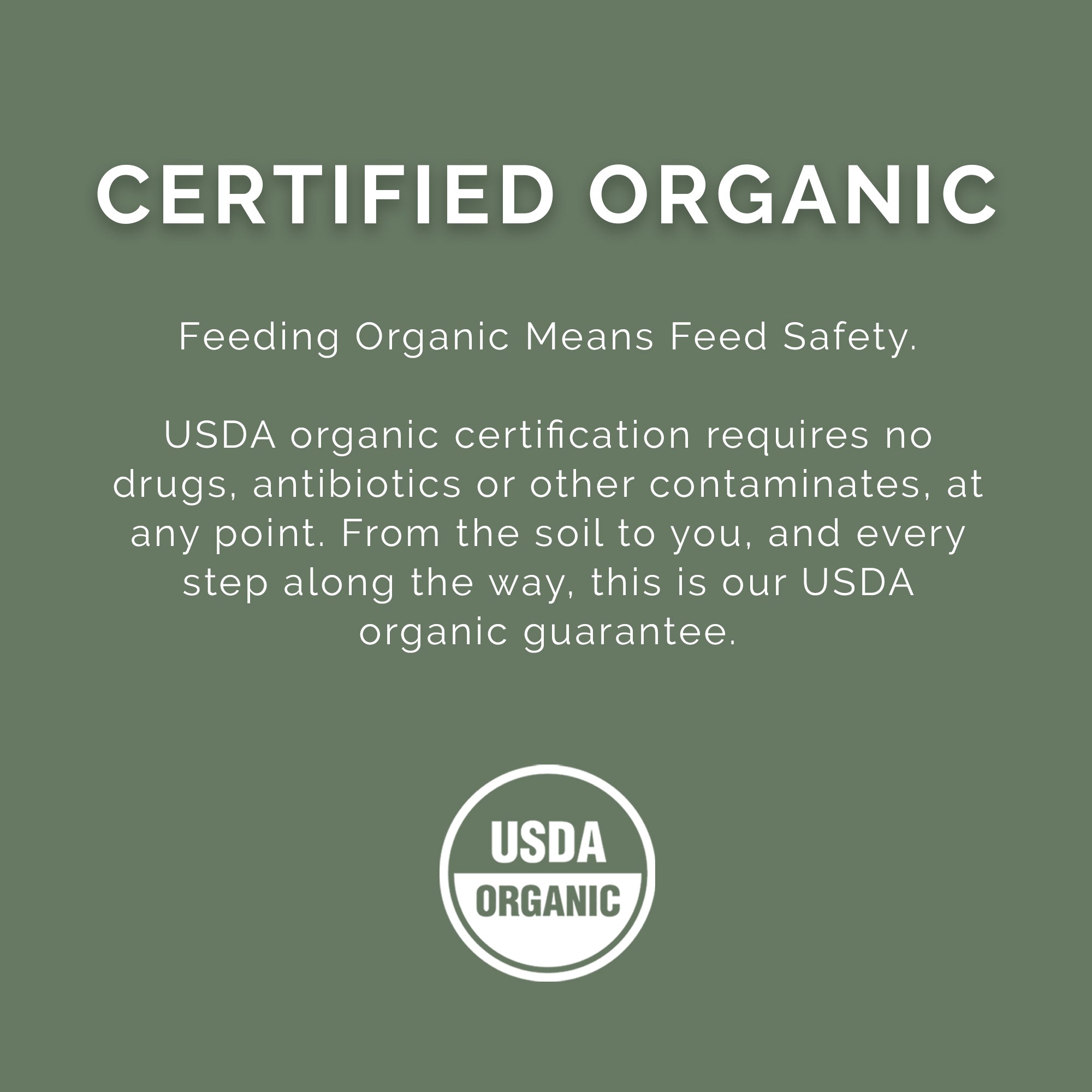 Pink Rose Organix PRO Series Activate Energy Builder Equine Feed, 40lbs