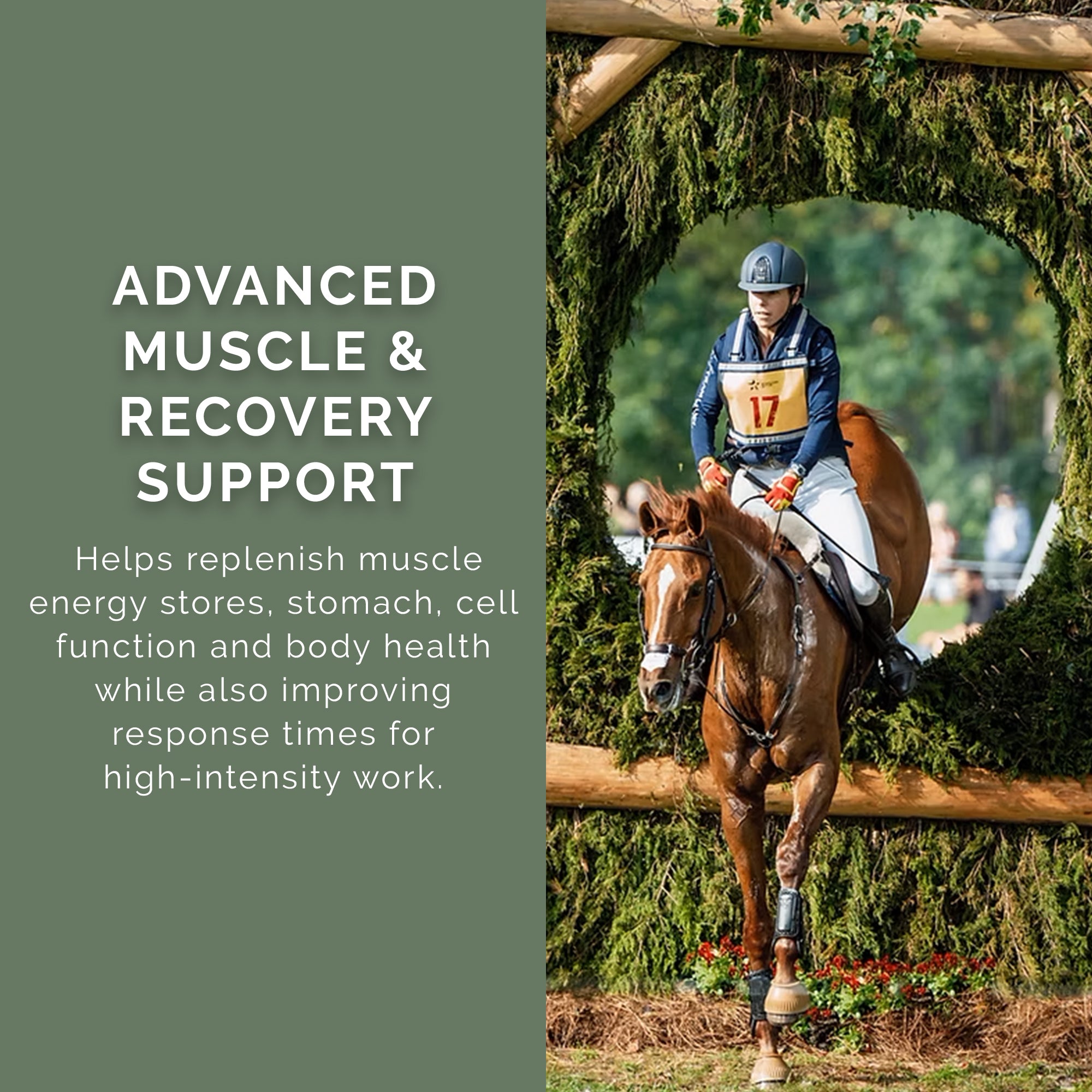 Pink Rose Organix PRO Series Activate Energy Builder Equine Feed, 40lbs