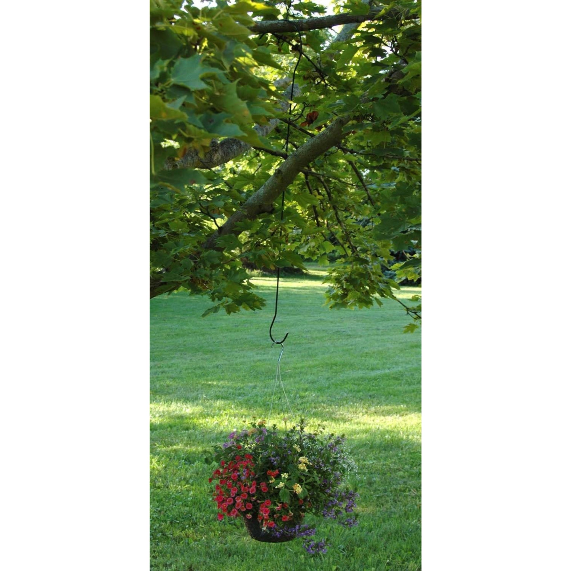 Hookery S Extension Tree Hook for Hanging Planters, Feeders, Baskets, and More, 48"