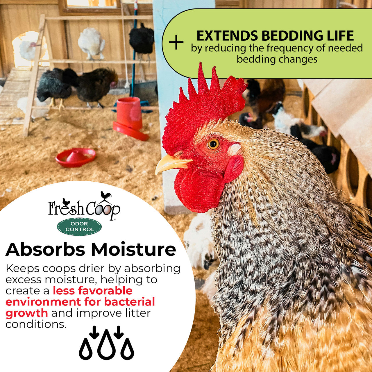 Progressive Planet Fresh Coop Odor Control
