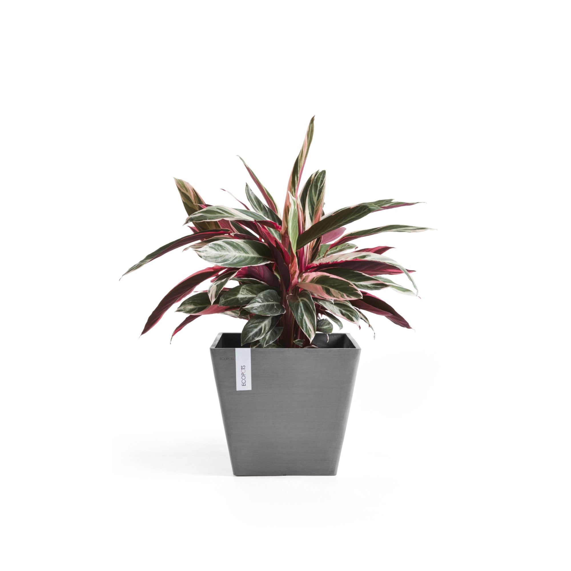 Ecopots Rotterdam Durable Modern Square Indoor/Outdoor Recycled-Based Composite Flower Planter