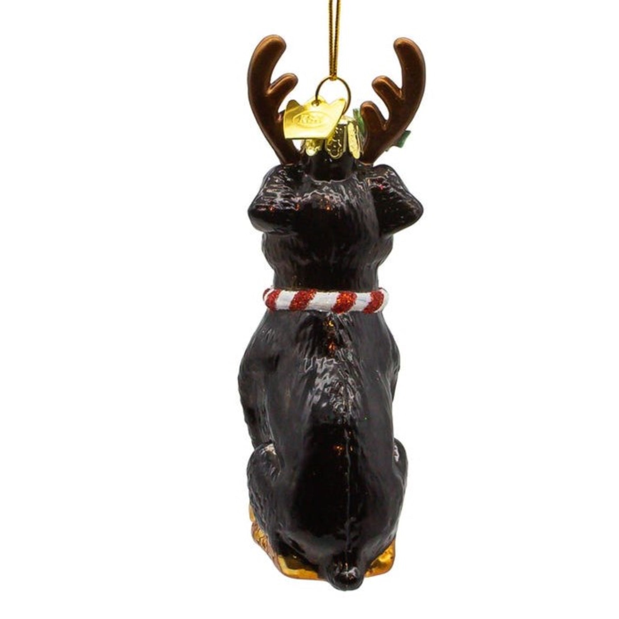 Kurt Adler Noble Gems Glass Ornament for Christmas Tree, Rottweiler with Antlers, 4"