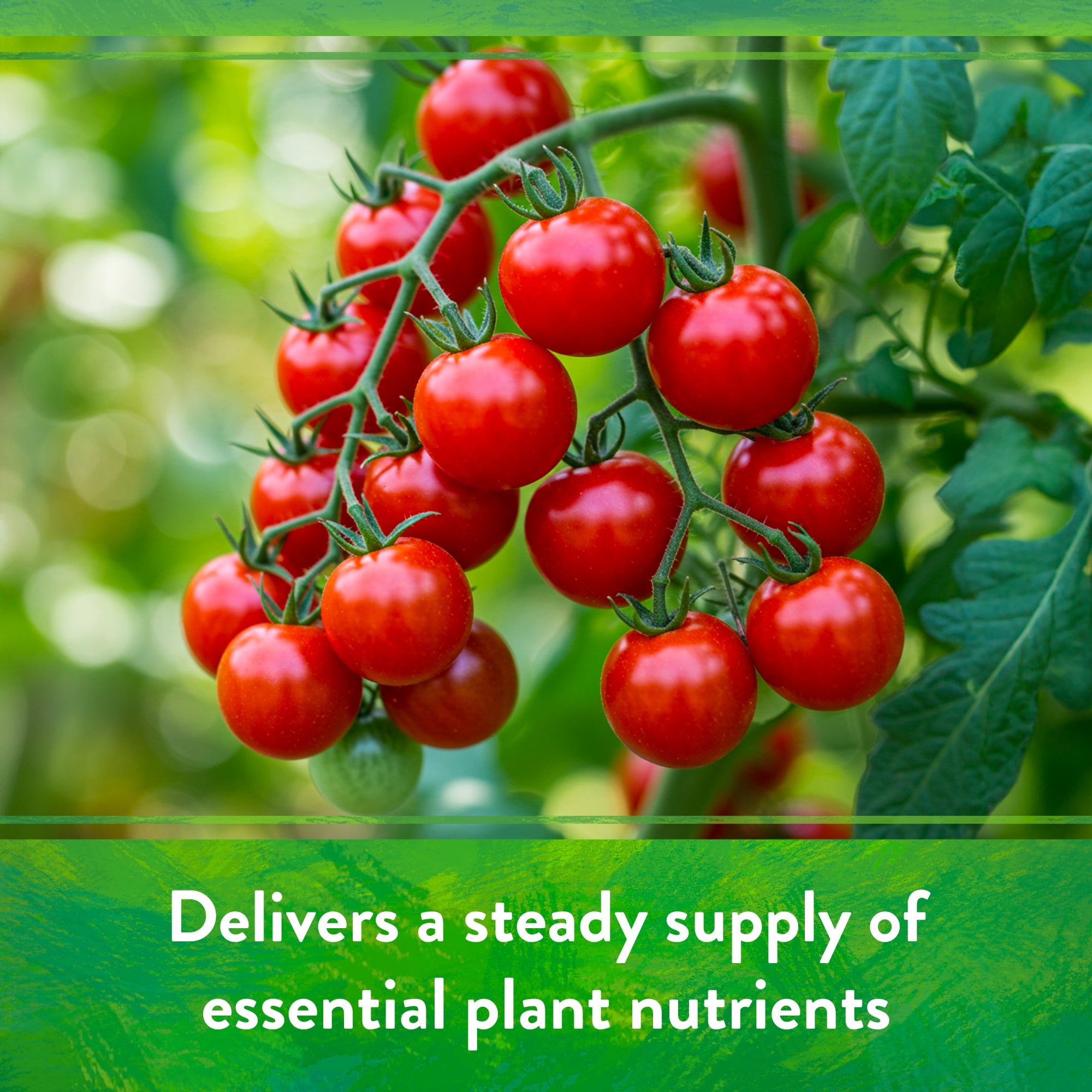 Down to Earth Organic All Purpose Fertilizer Mix 4-6-2