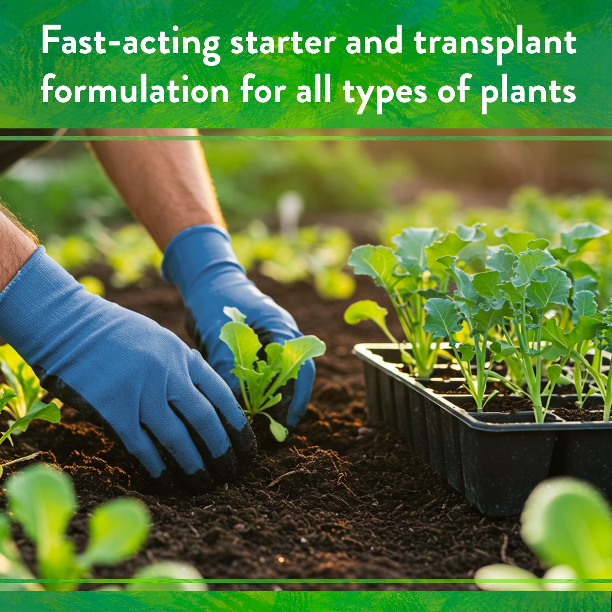 Down to Earth Organic Bio-Live Fertilizer Mix 5-4-2