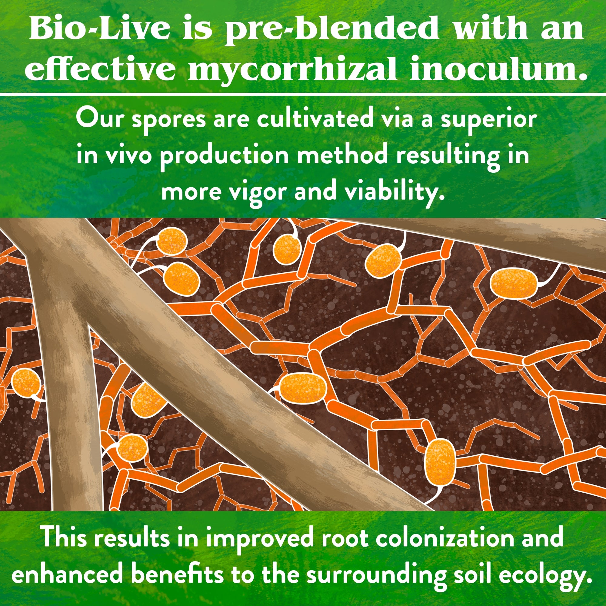 Down to Earth Organic Bio-Live Fertilizer Mix 5-4-2