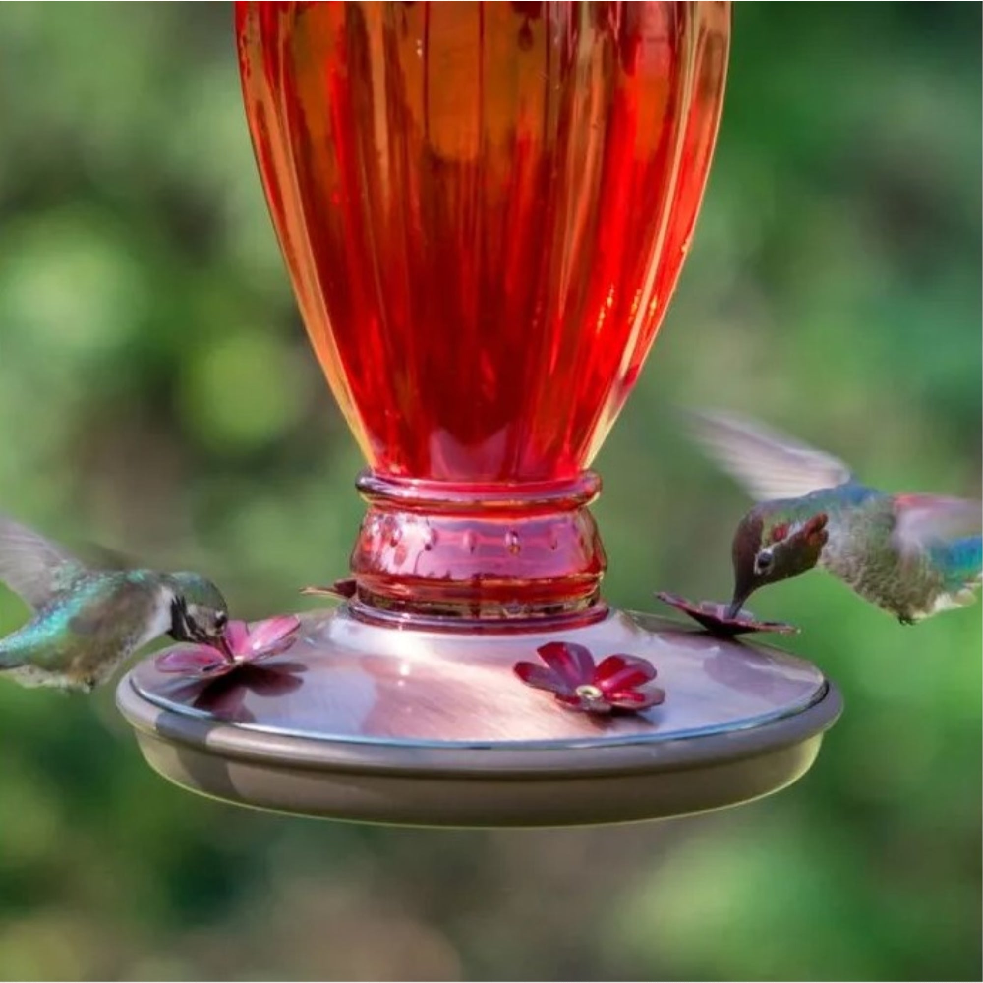 Perky-Pet Daisy Vase Vintage Glass Hummingbird Feeder, 18oz Capacity, Red