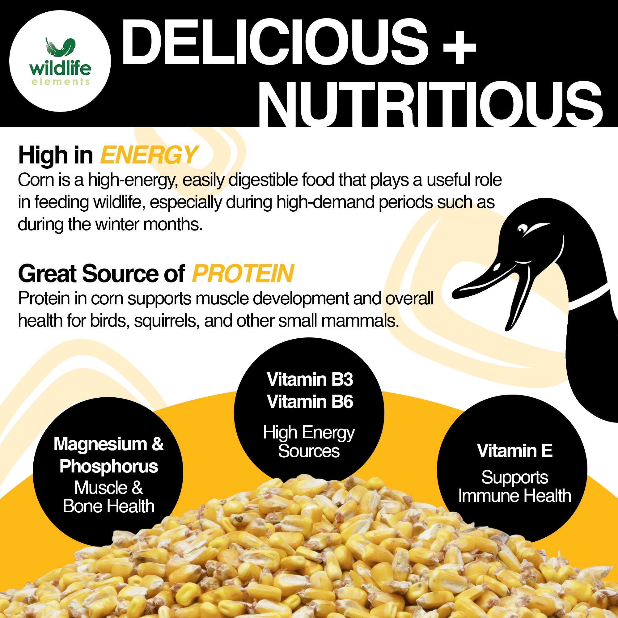 Wildlife Elements Critter Corn, Natural Whole Shelled Corn for Wildlife, USA Sourced, 44lb