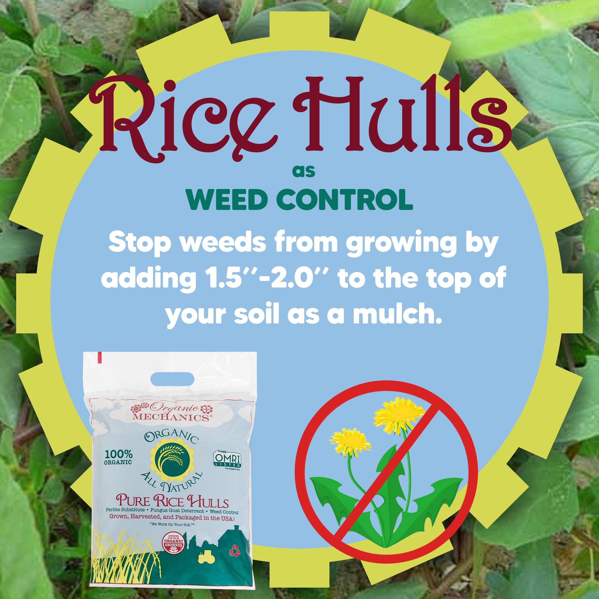 Organic Mechanics Pure Rice Hulls Perlite Substitute