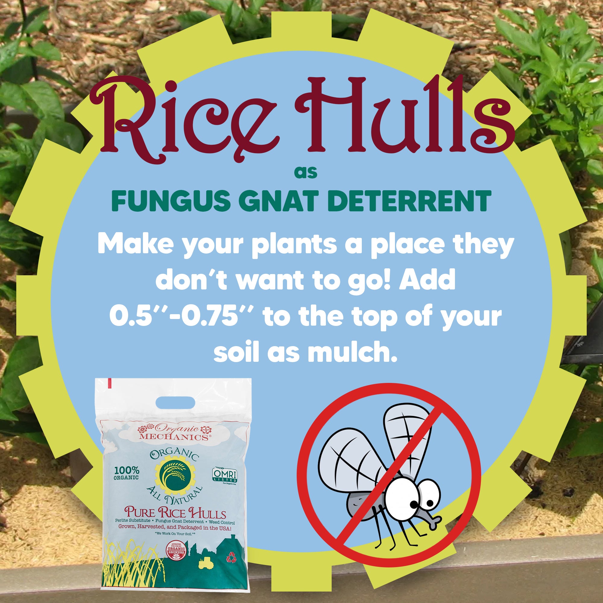 Organic Mechanics Pure Rice Hulls Perlite Substitute