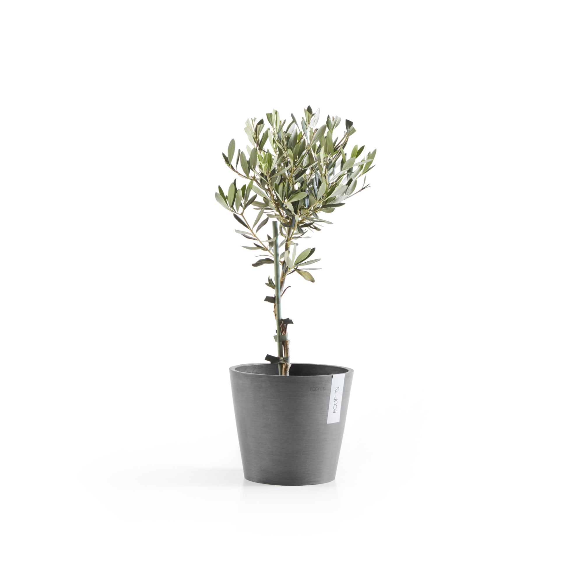 Ecopots Amsterdam Durable Modern Round In/Outdoor Recycled-Based Composite Flower Pot Planter