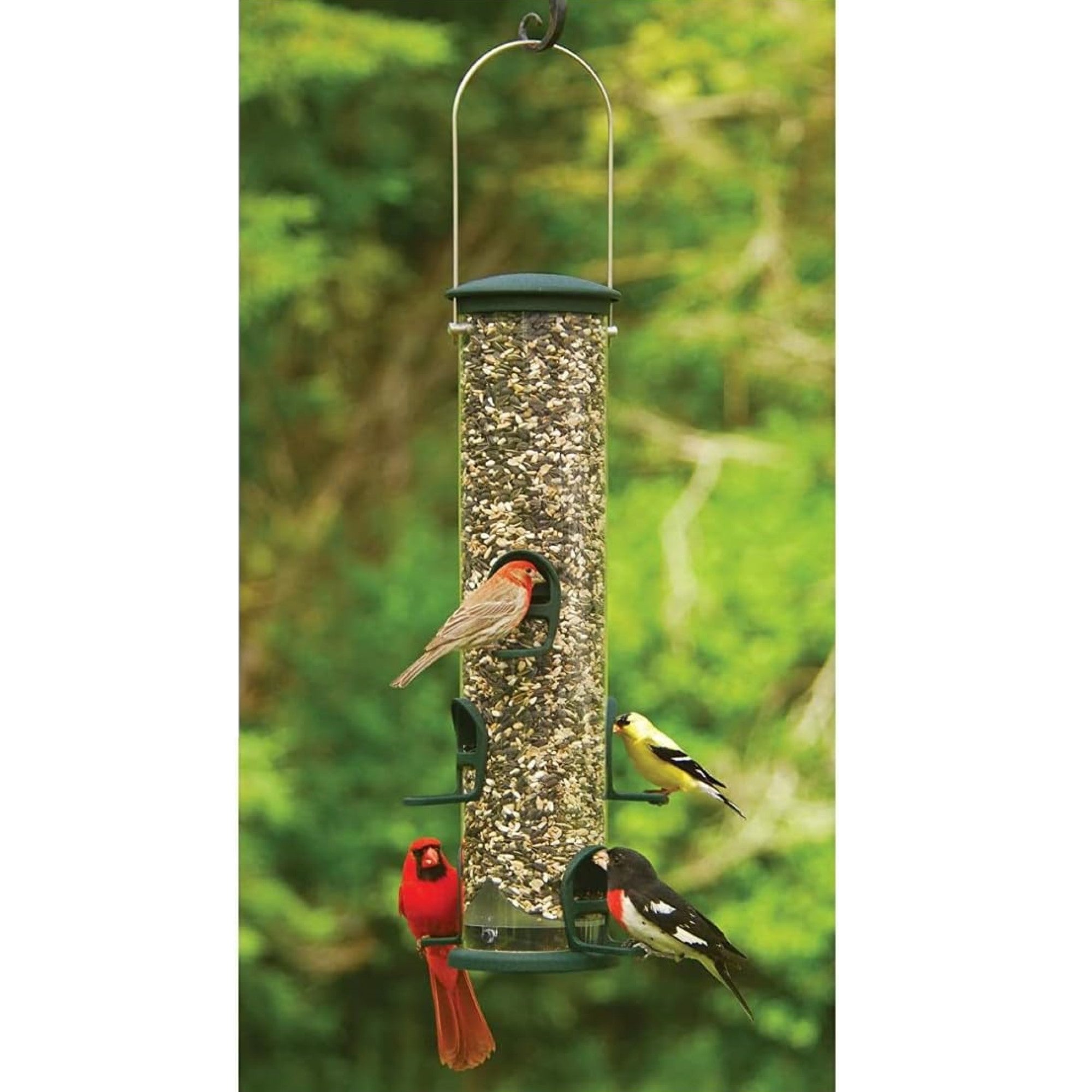 Aspects Quick-Clean Spruce Big Tube Feeder with 6 Feeding Stations, Large, 3.5qt