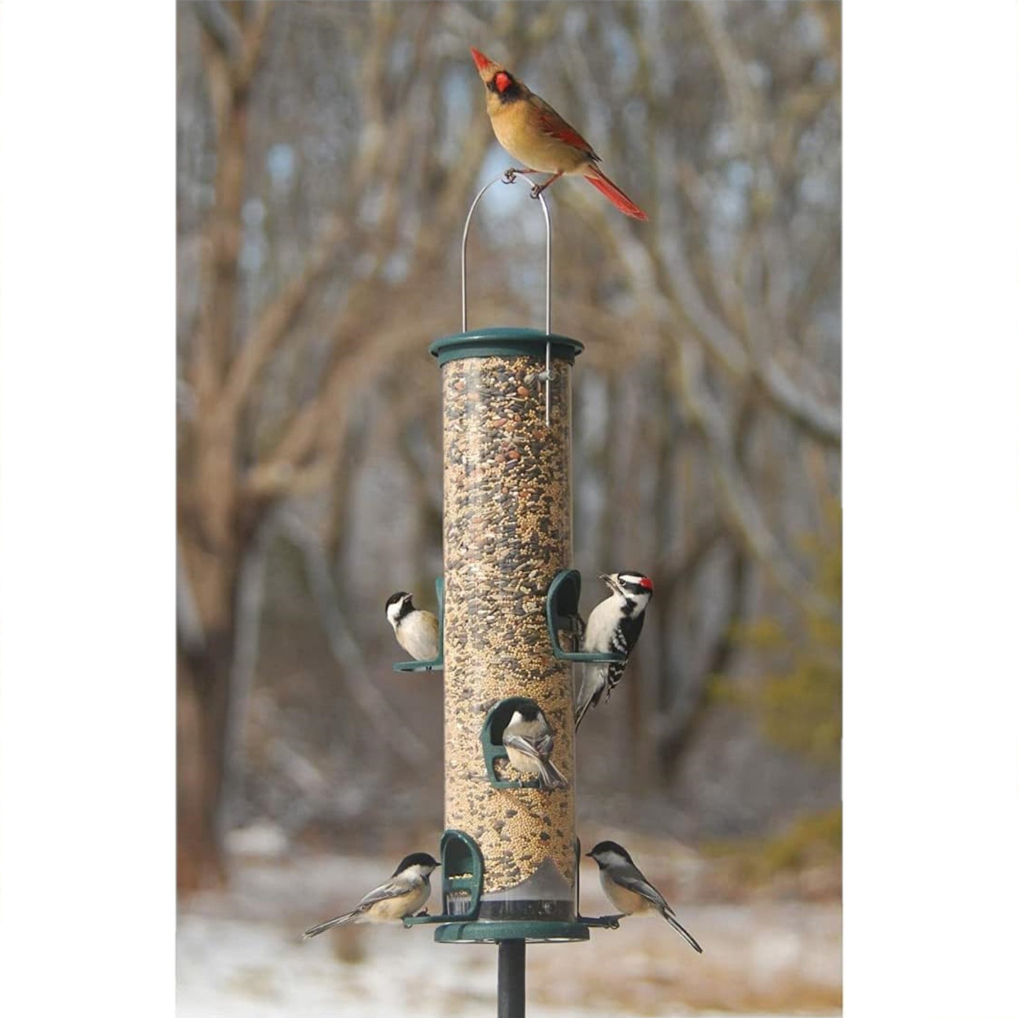 Aspects Quick-Clean Spruce Big Tube Feeder with 6 Feeding Stations, Large, 3.5qt