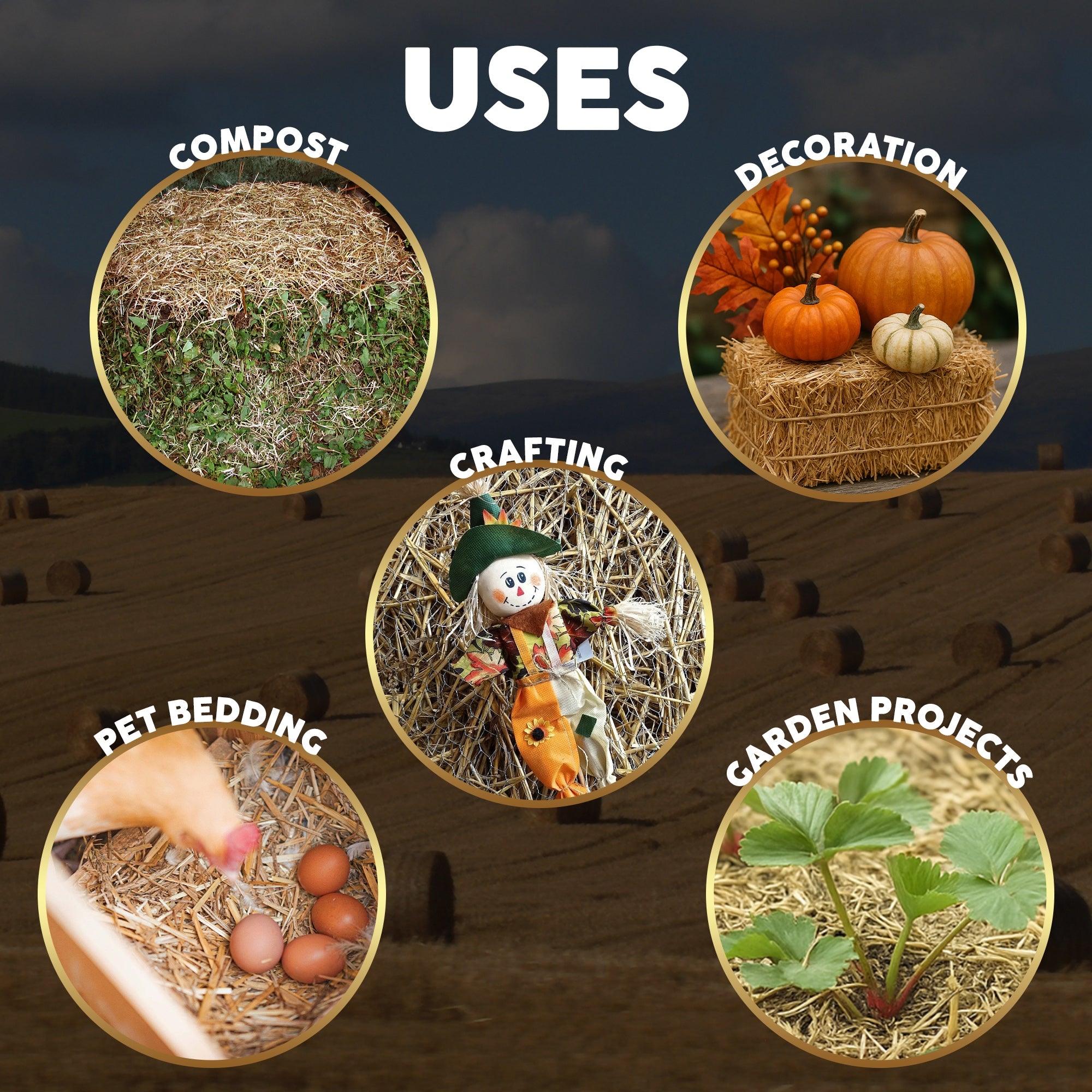 Firewood Central Mini Straw Bale by Morning View Acres – 100% Natural Wheat Straw for Gardening, Pet Bedding, Grass Seeding & Rustic Decor (12” x 4.5” x 6.5”) 2lb