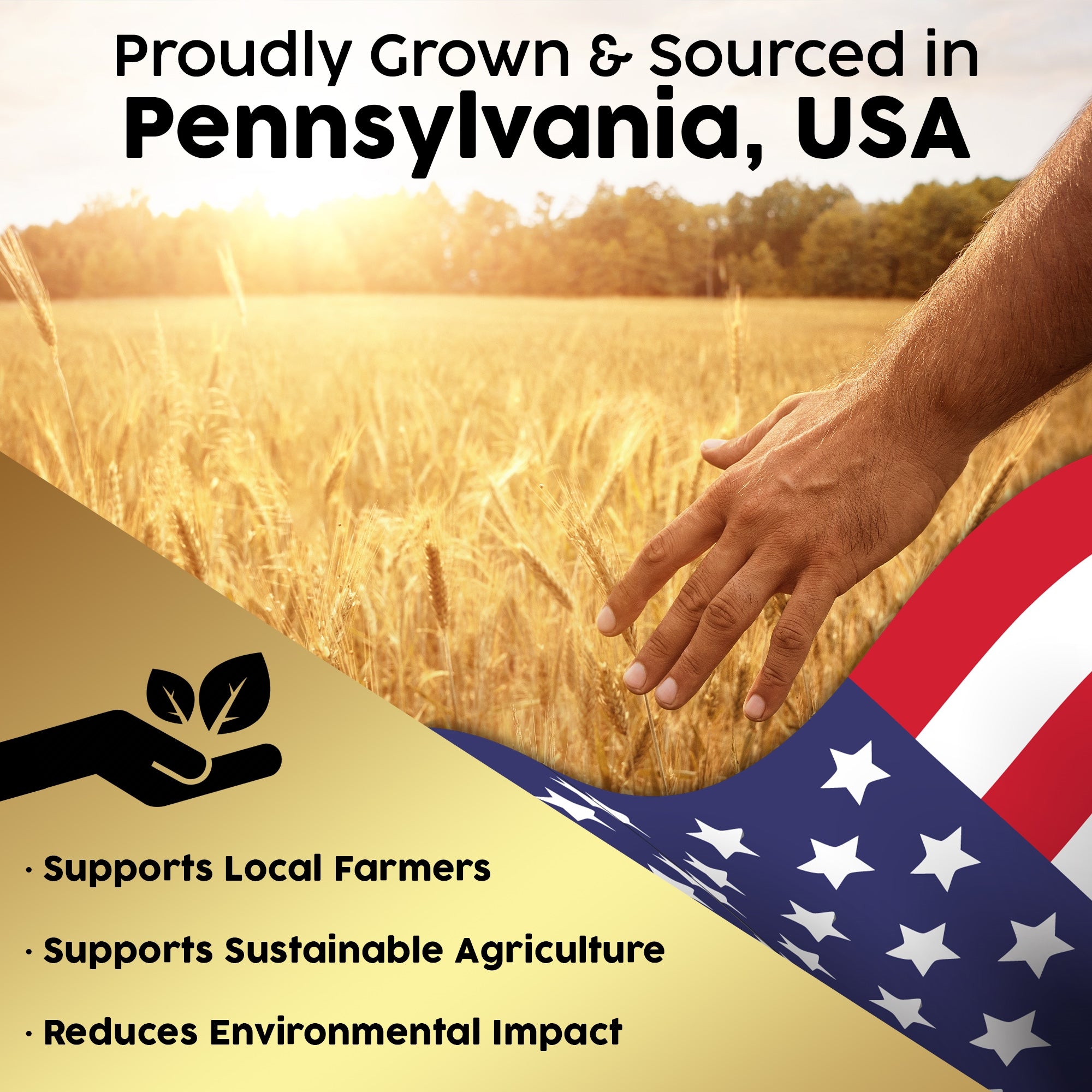 Firewood Central Mini Straw Bale by Morning View Acres – 100% Natural Wheat Straw for Gardening, Pet Bedding, Grass Seeding & Rustic Decor (12” x 4.5” x 6.5”) 2lb