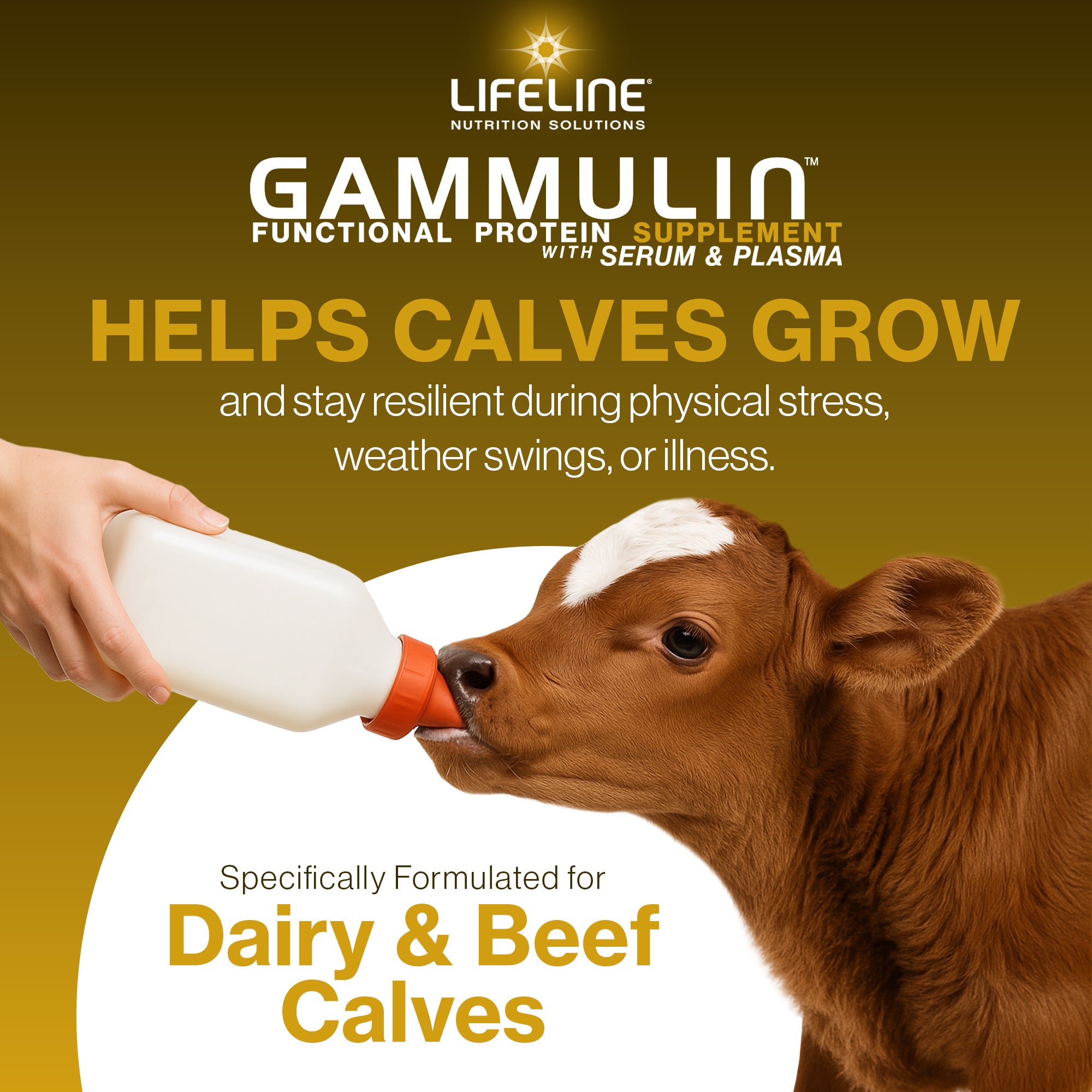 ANNUSO LIFELINE Gammulin Immune & Intestinal Support for Calves, 10lb Pail