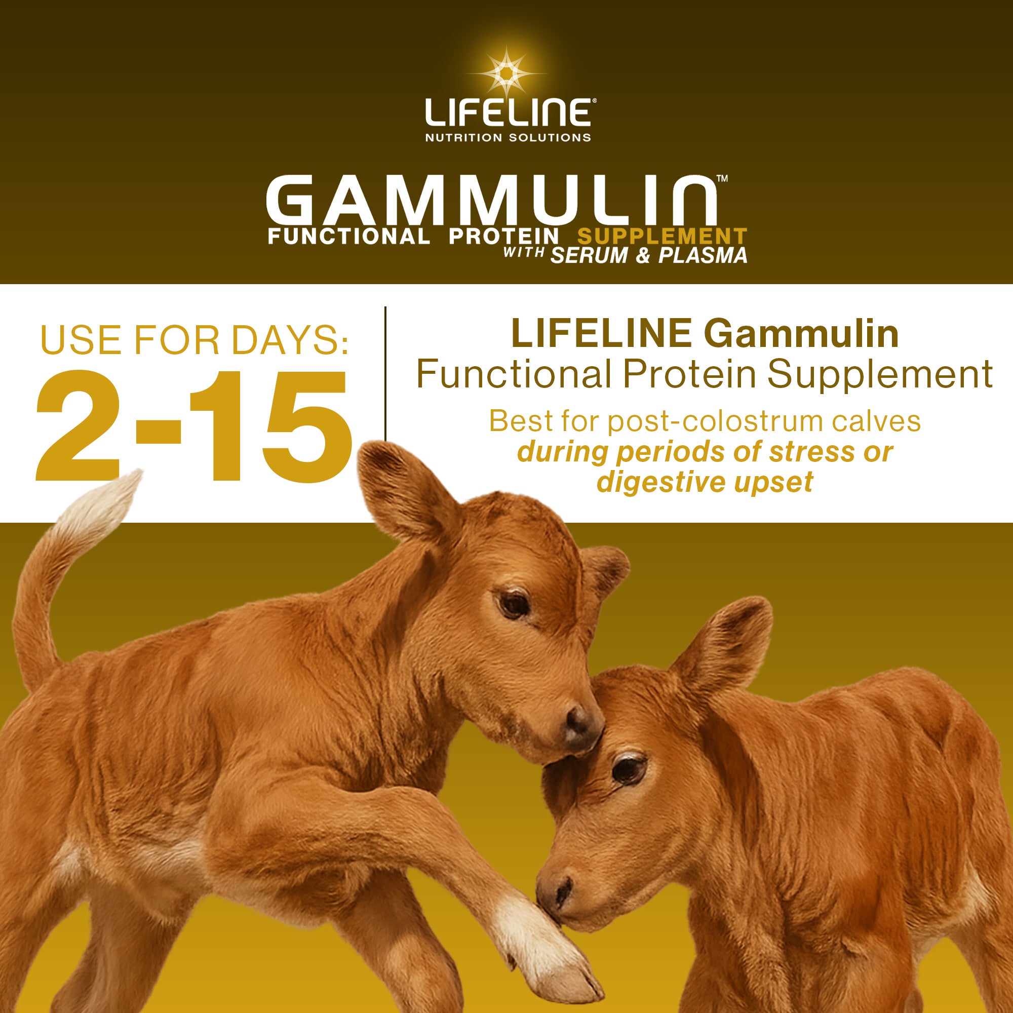 ANNUSO LIFELINE Gammulin Immune & Intestinal Support for Calves, 10lb Pail