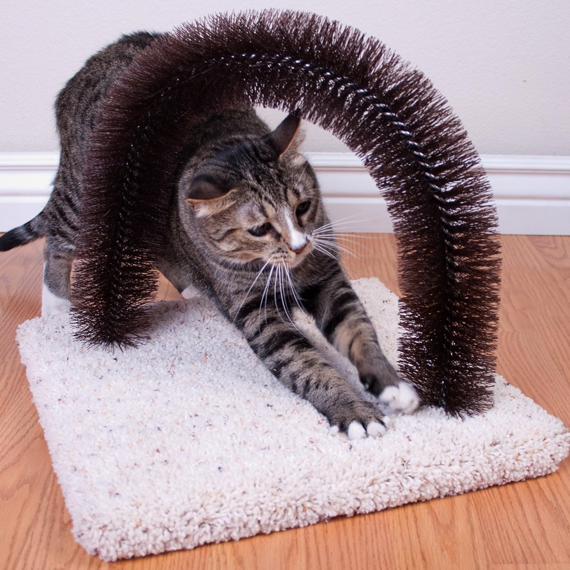 Ware Manufacturing Brush-N-Scratch Groomer with Nylon Bristles for Cats