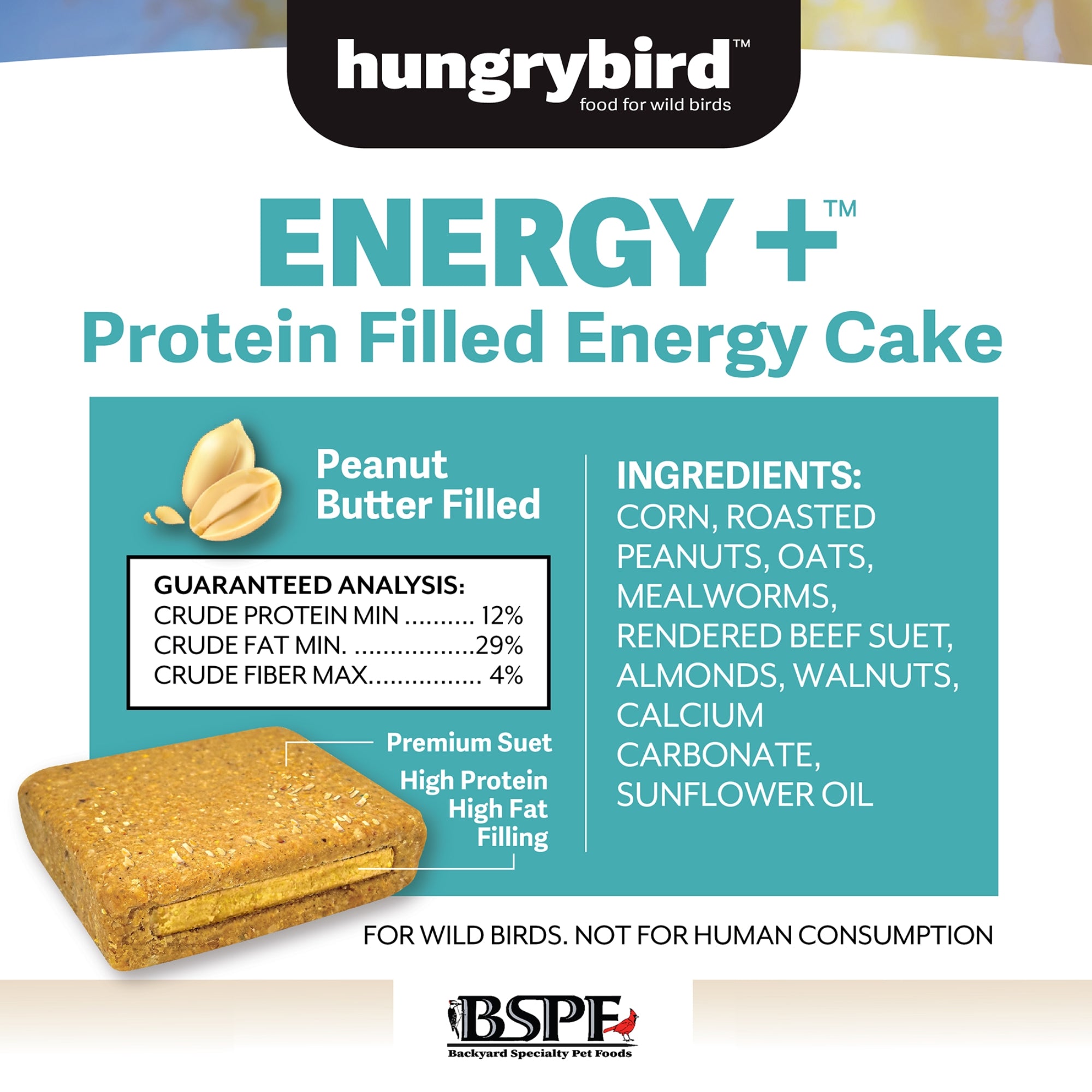 Hungrybird Energy+ No-Melt, High-Protein Suet Cake with Peanut Butter Filling for Outside Wild Bird Feeders