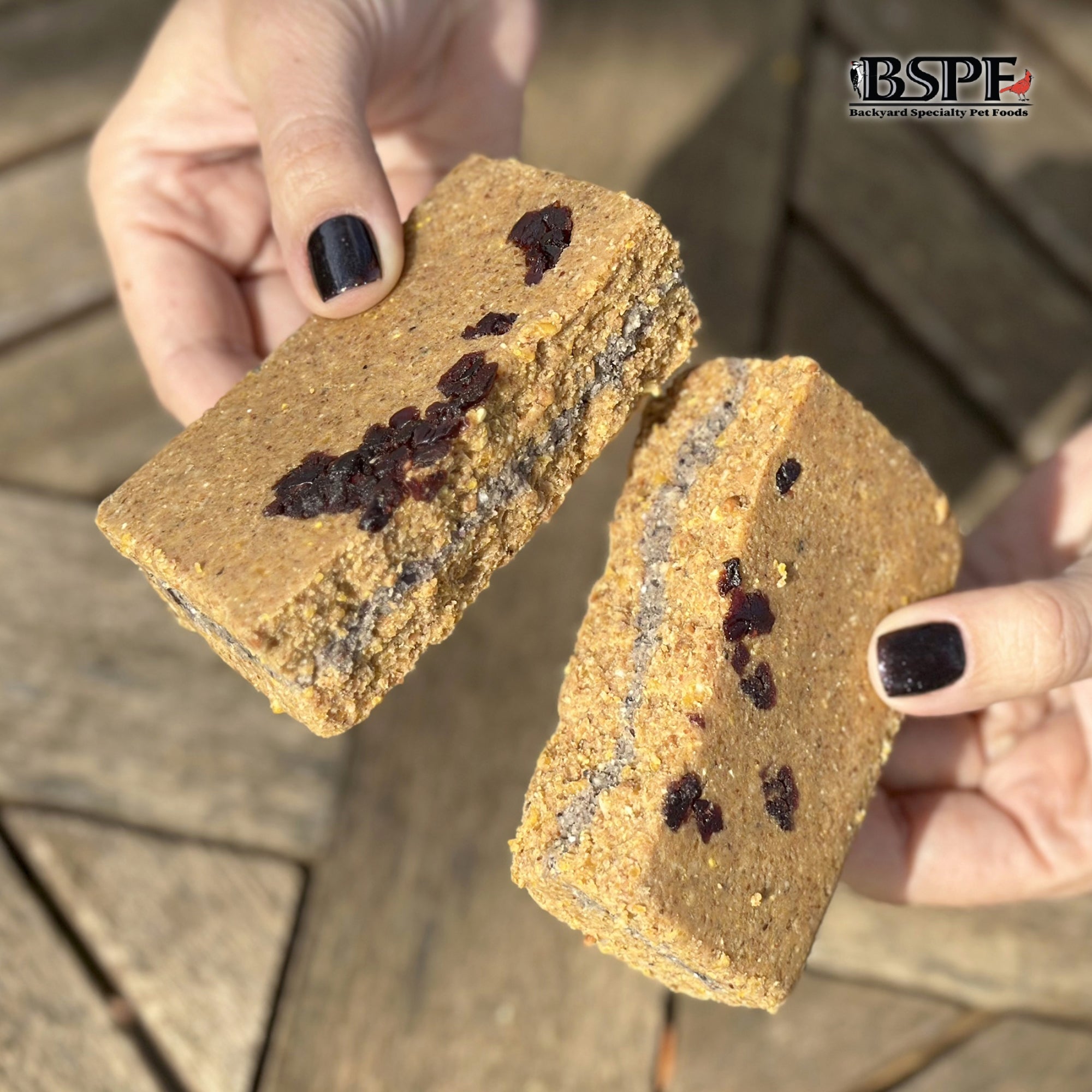 Hungrybird Energy+ No-Melt, High-Protein Suet Cake with Cranberry Filling for Outside Wild Bird Feeders