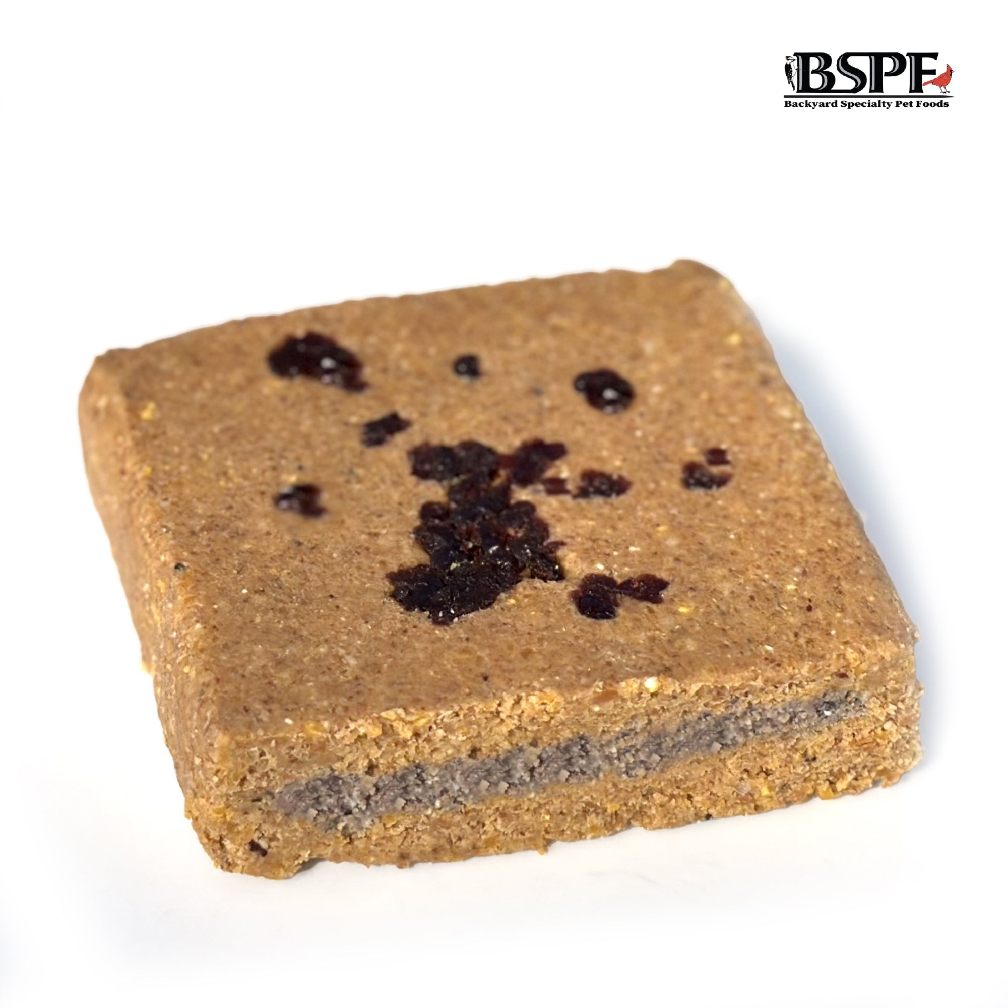 Hungrybird Energy+ No-Melt, High-Protein Suet Cake with Cranberry Filling for Outside Wild Bird Feeders