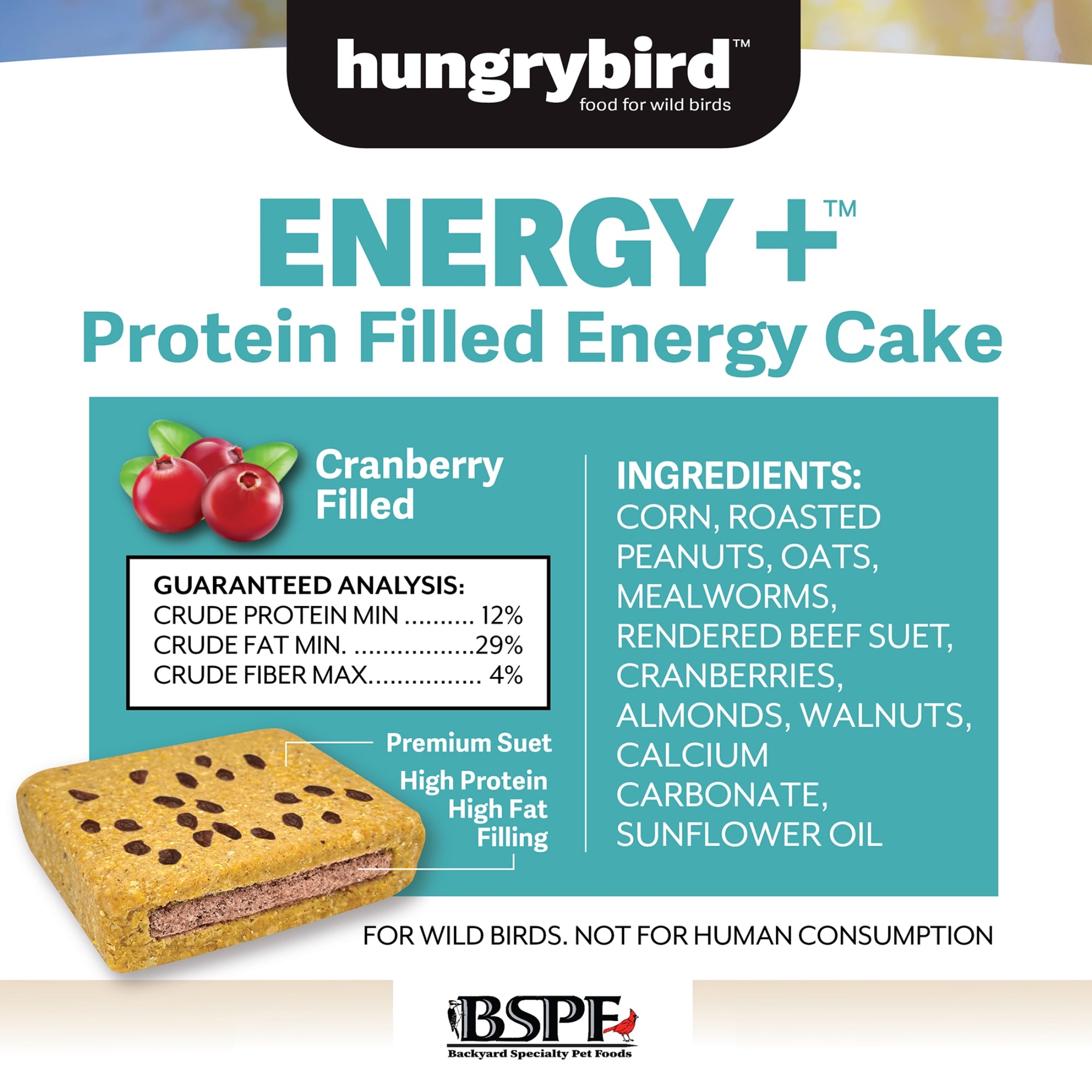 Hungrybird Energy+ No-Melt, High-Protein Suet Cake with Cranberry Filling for Outside Wild Bird Feeders