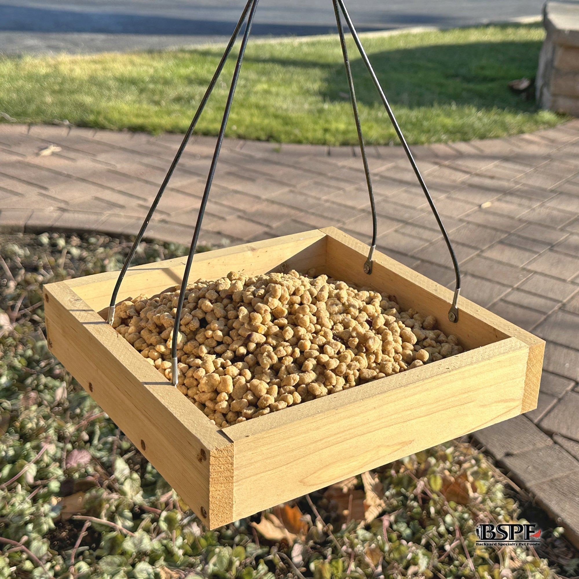 Hungrybird Energy Complete, 3lb - High-Protein Peanut Butter Suet Bites for Outside Wild Birds