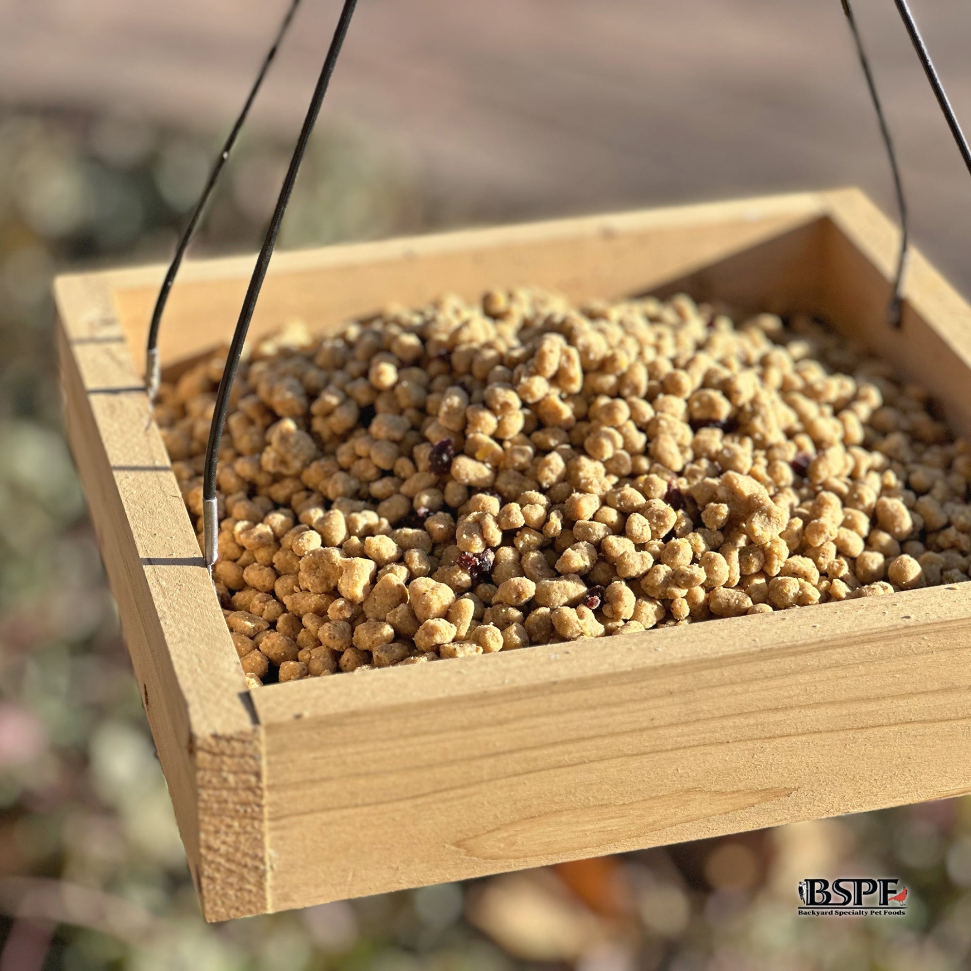 Hungrybird Energy Complete, 3lb - High-Protein Blended Berry Suet Bites for Outside Wild Bird