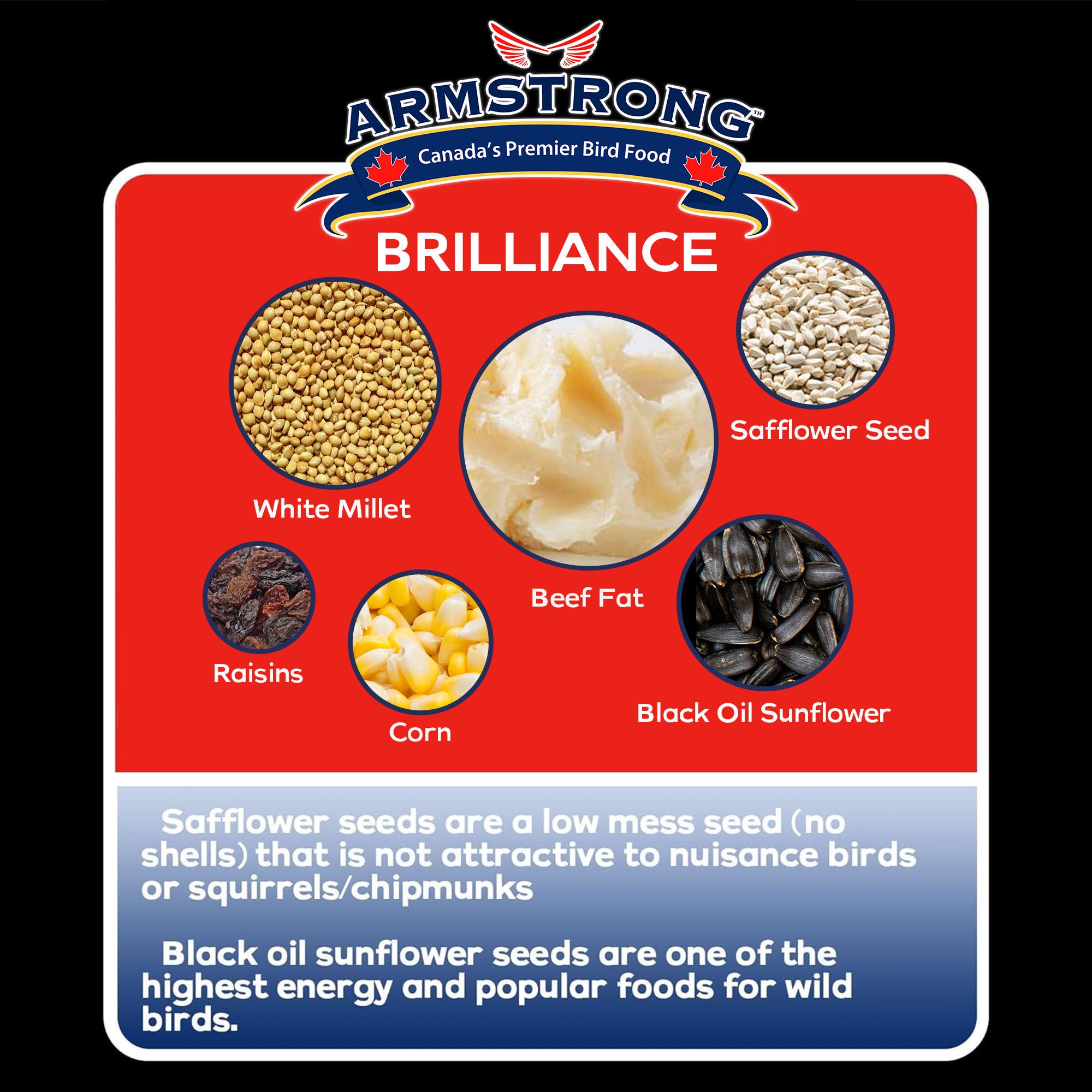 Armstrong Wild Bird Food Royal Jubilee Brilliance Suet Blend for Northern Cardinals, 10.6oz (Pack of 3)