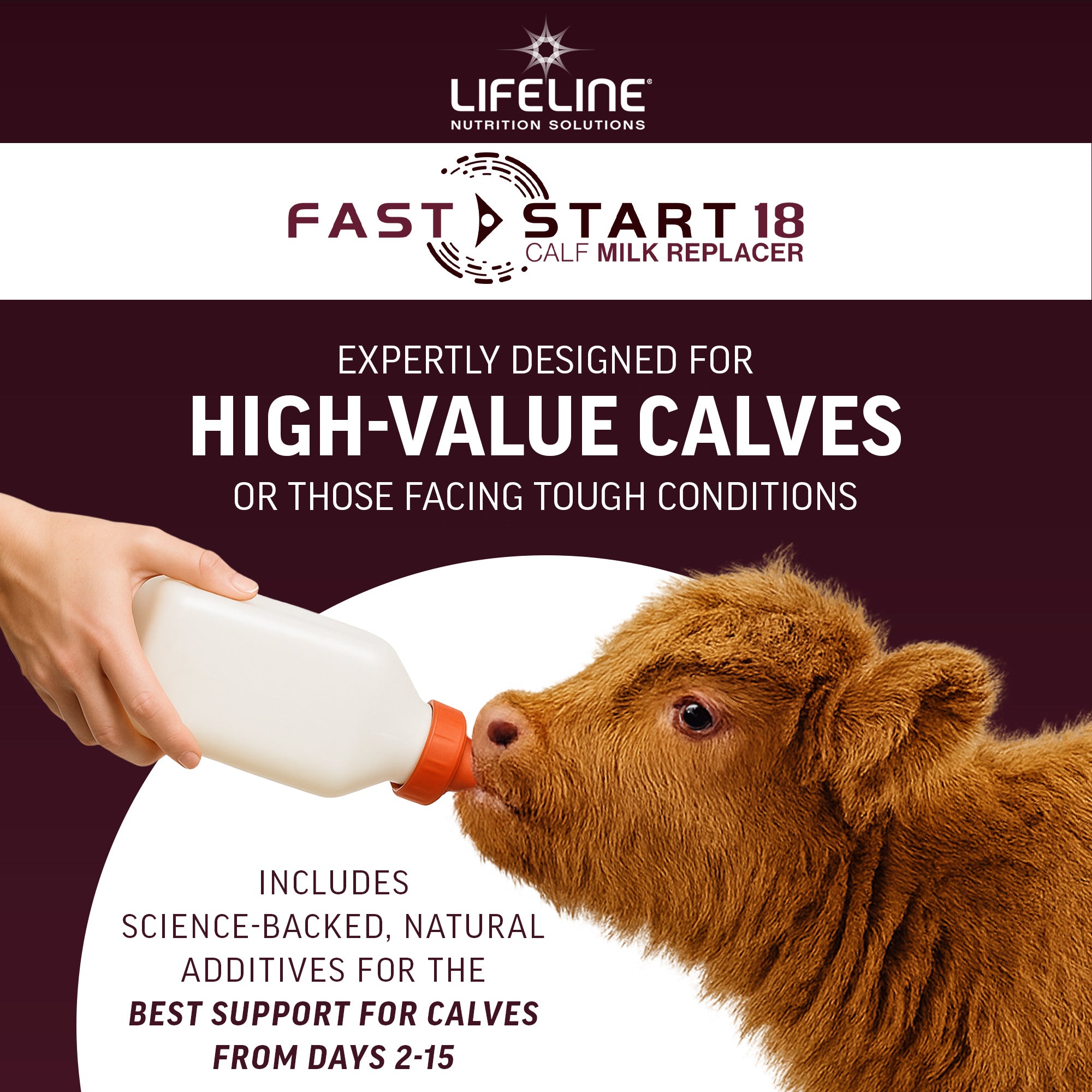 ANNUSO LIFELINE Fast Start 18 Calf Milk Replacer 24:20, 25lb Bag