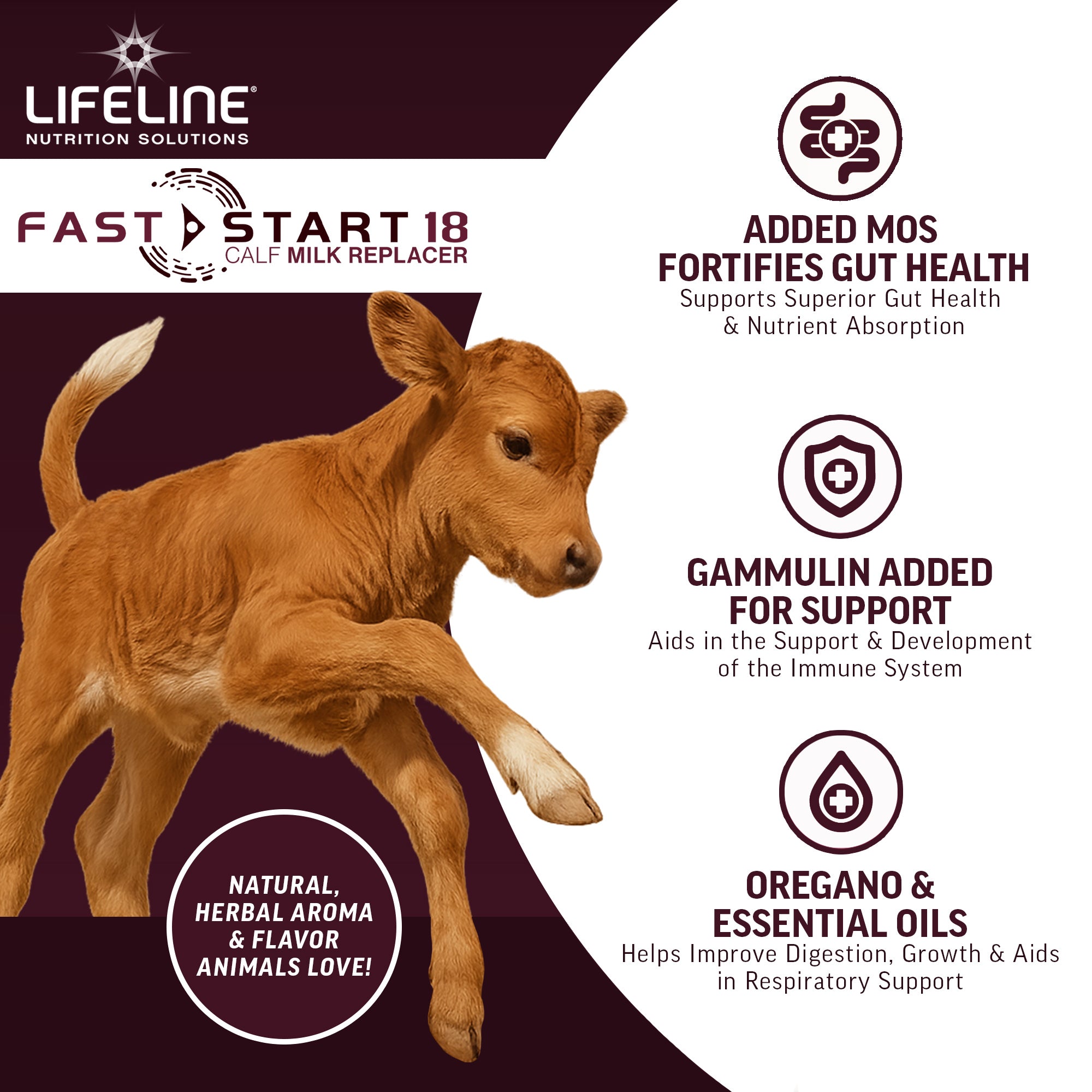 ANNUSO LIFELINE Fast Start 18 Calf Milk Replacer 24:20, 25lb Bag