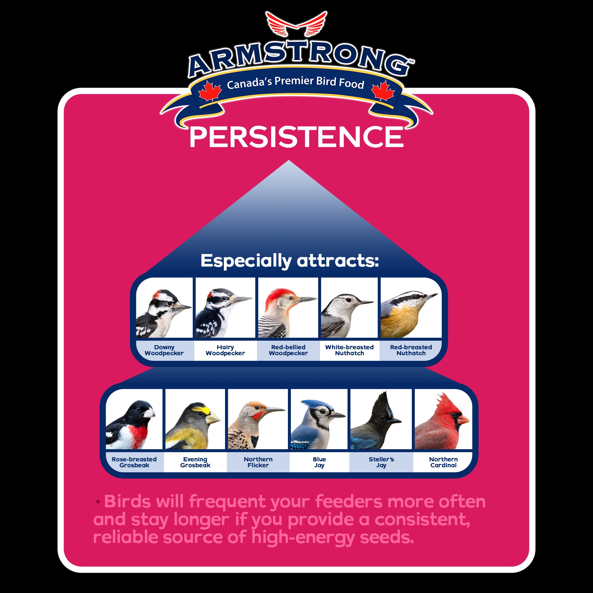 Armstrong Wild Bird Food Royal Jubilee Persistence Blend, 4.4lb Jug