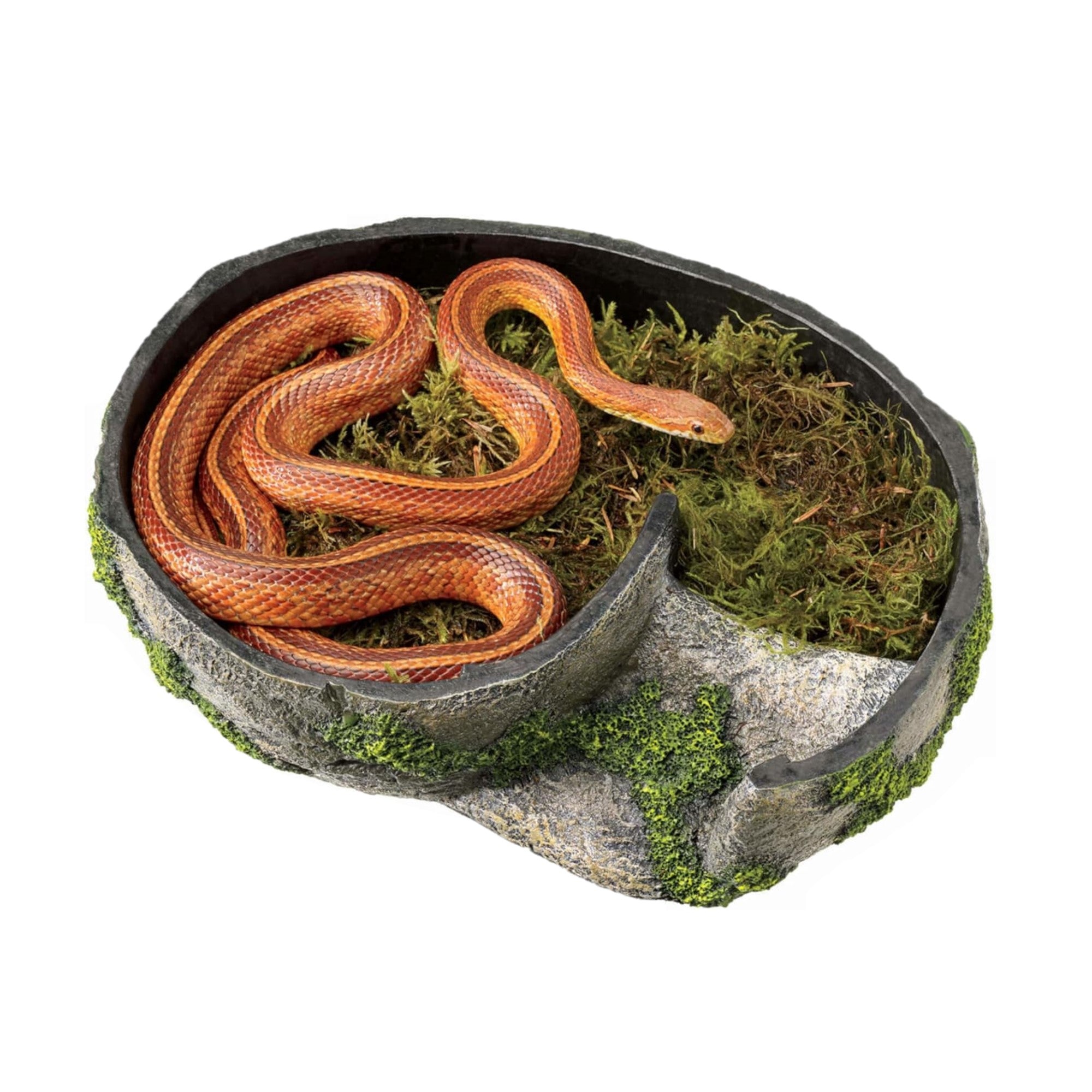 Zilla Naturalistic Humid Hideaway Rock Lair, Large (11" x 7.75" x 6")