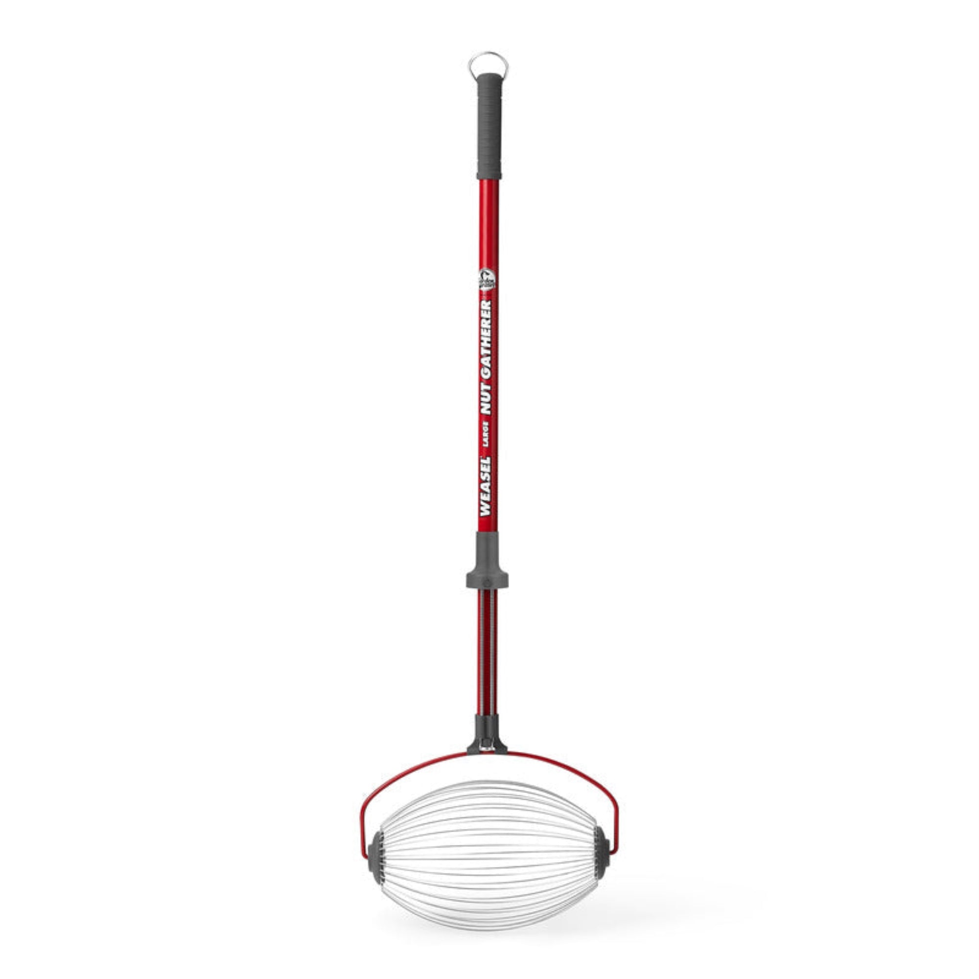 Garden Weasel Nut Gatherer Tool for Collecting Walnuts, Fruits and More, Large