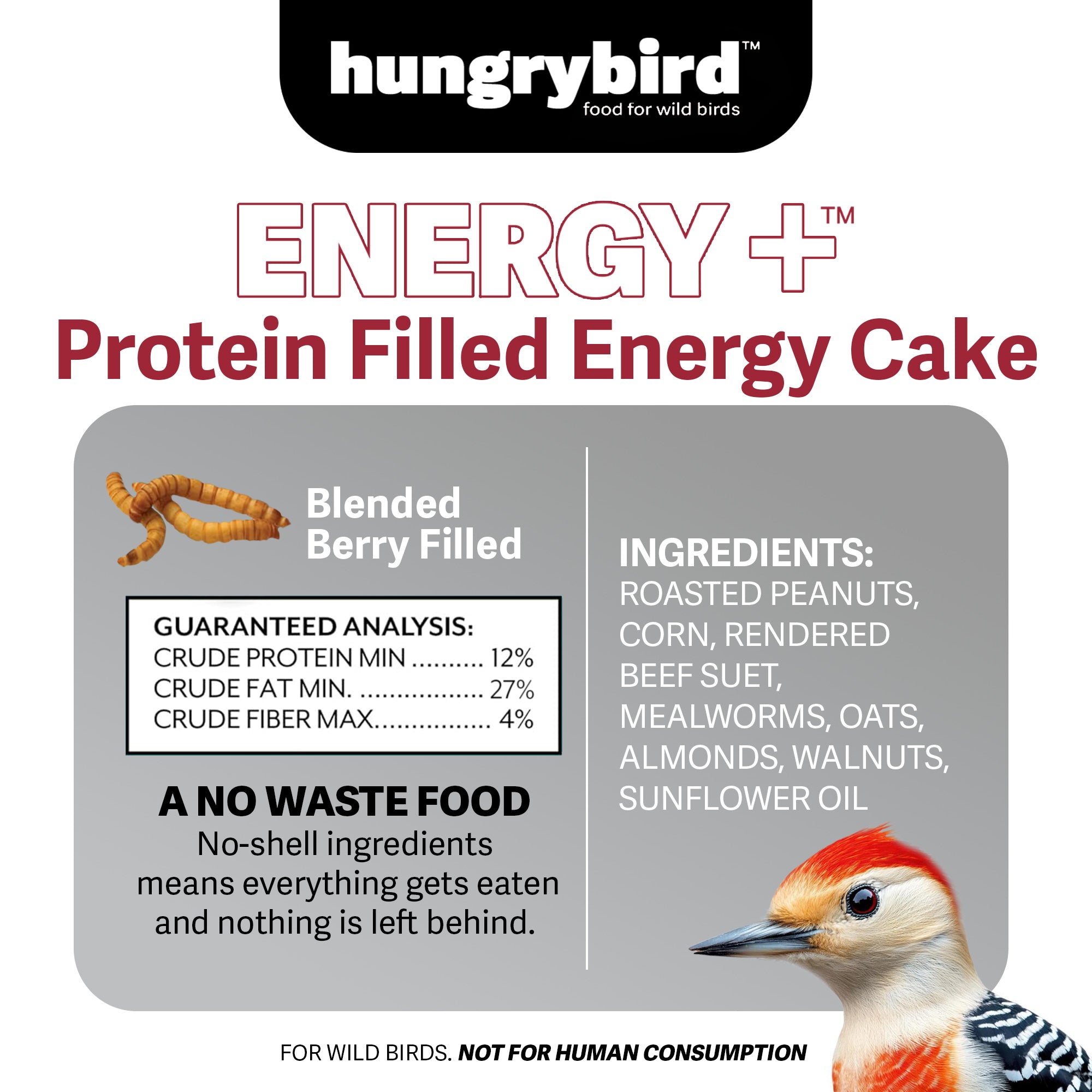 Hungrybird Energy+ No-Melt, High-Protein Suet Cake with Mealworm Filling