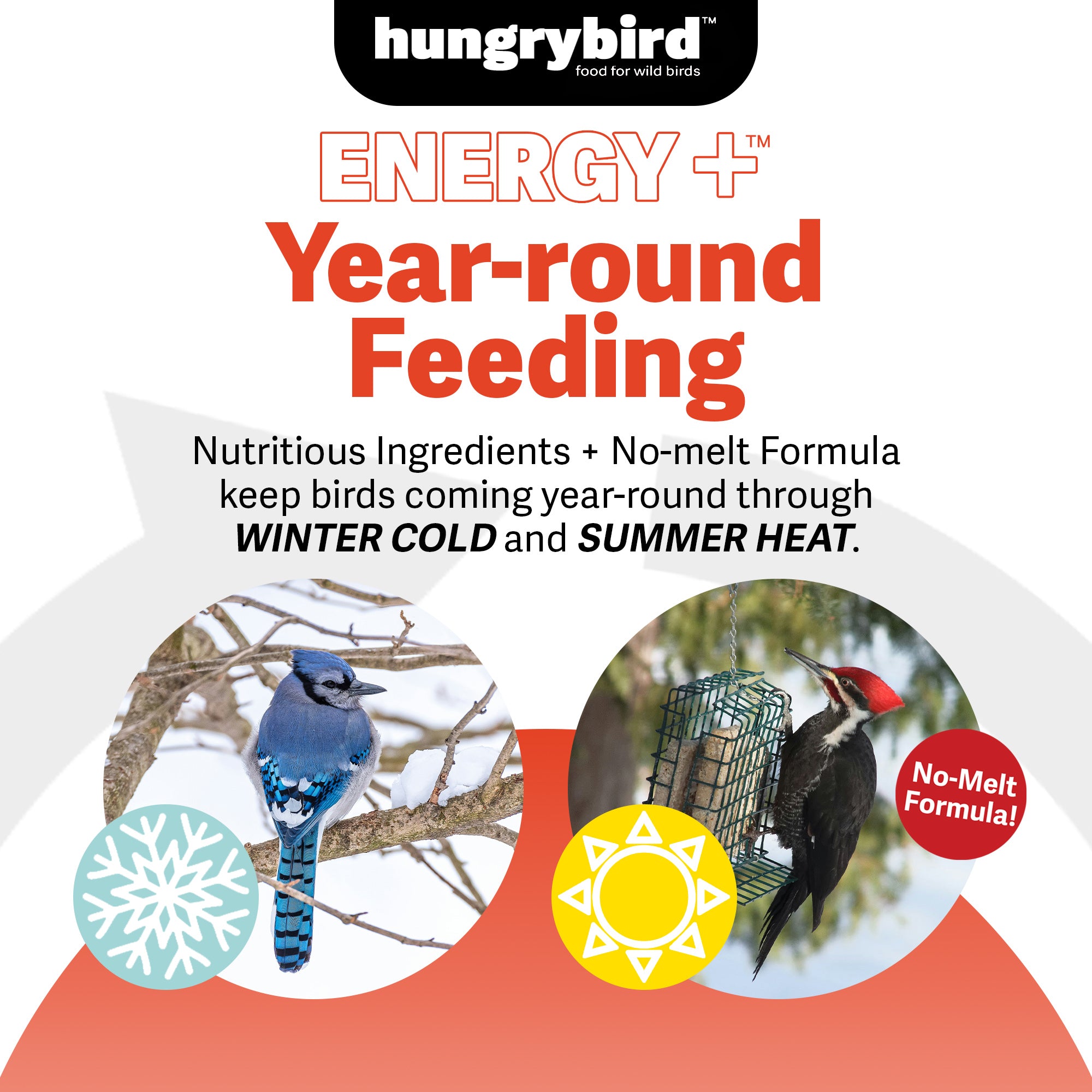 Hungrybird Energy+ No-Melt, High-Protein Suet Cake with Hot Pepper Filling