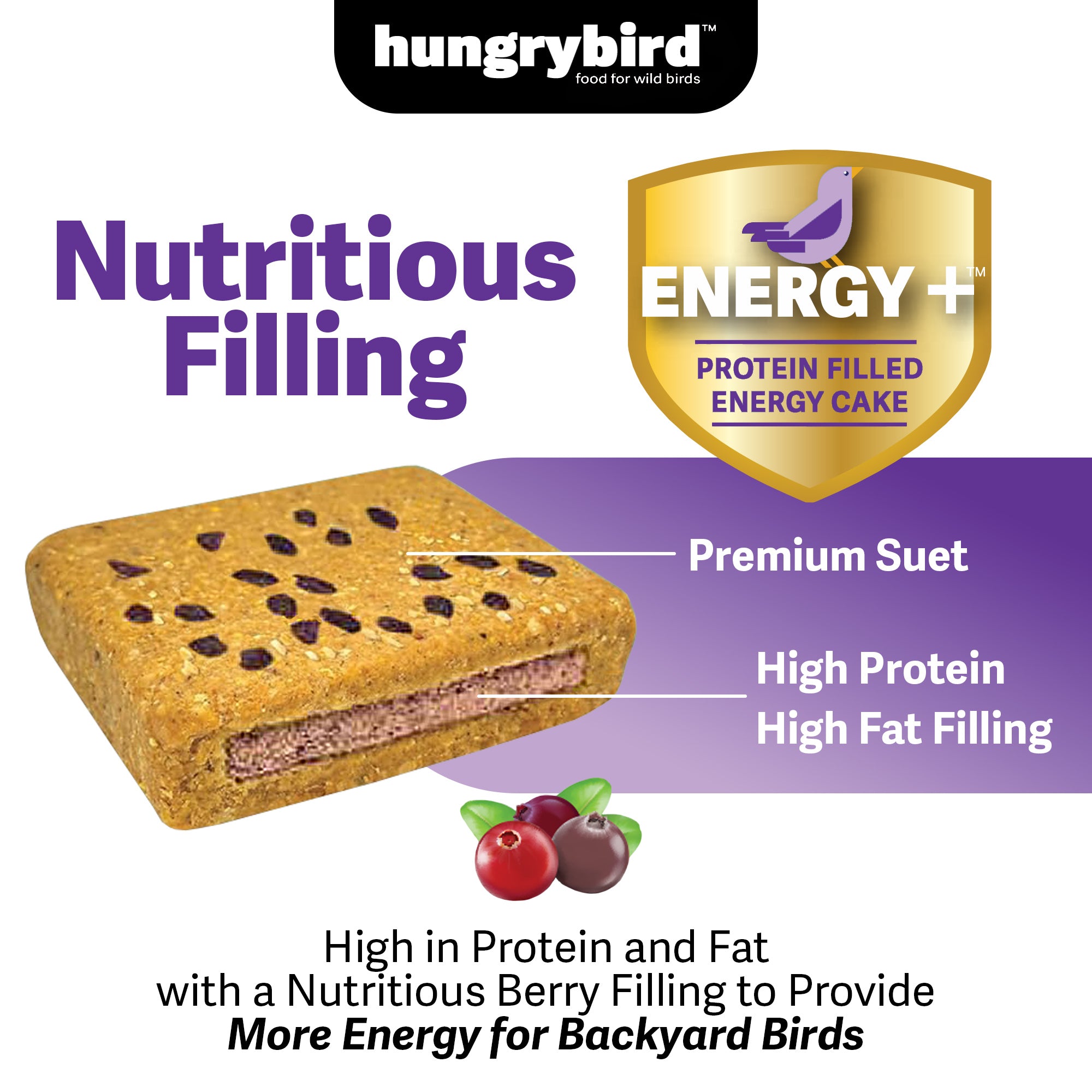 Hungrybird Energy+ No-Melt, High-Protein Suet Cake with Berry Filling