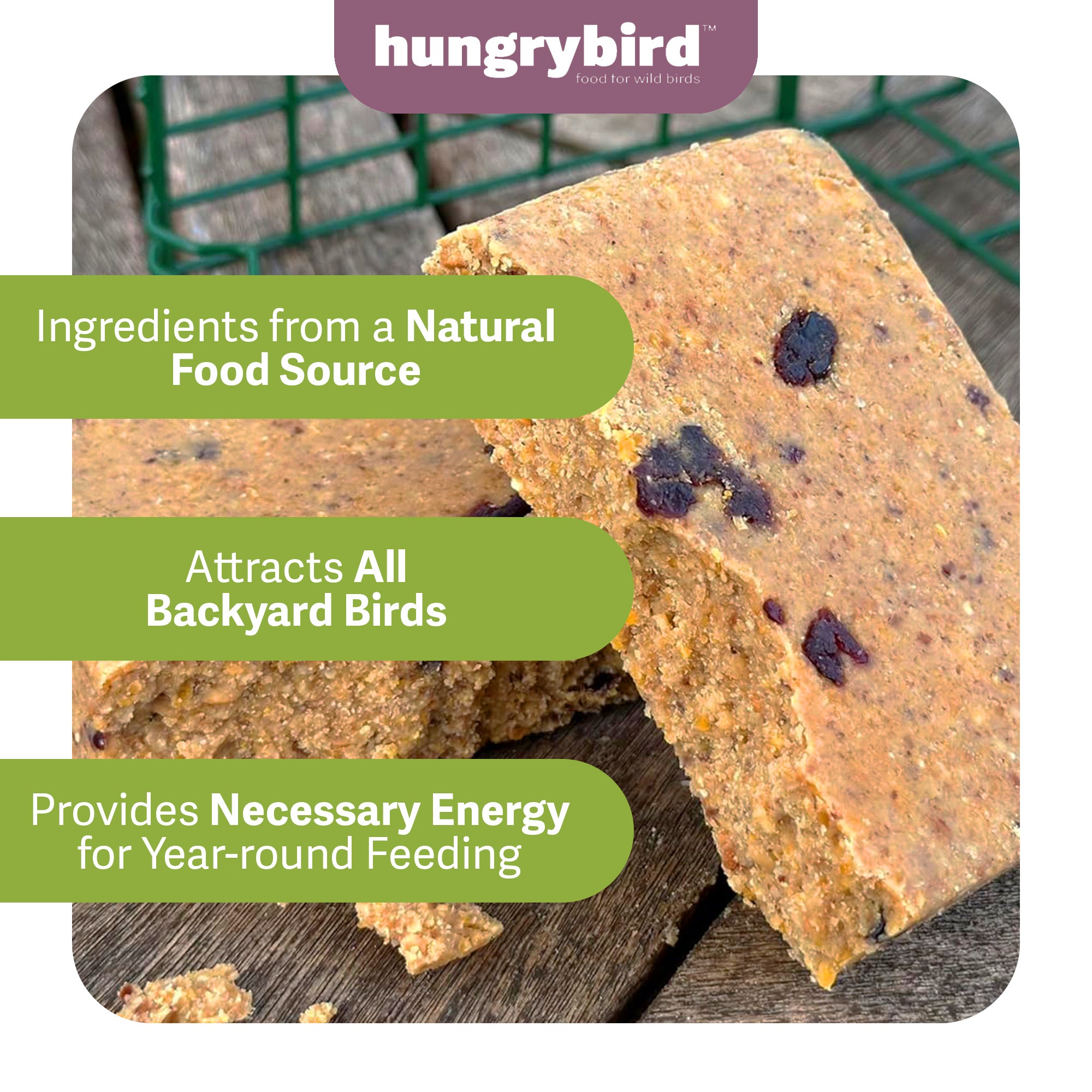 Hungrybird NaturAll Non-GMO, High-Protein Berry Suet Cake for Wild Bird Feeders