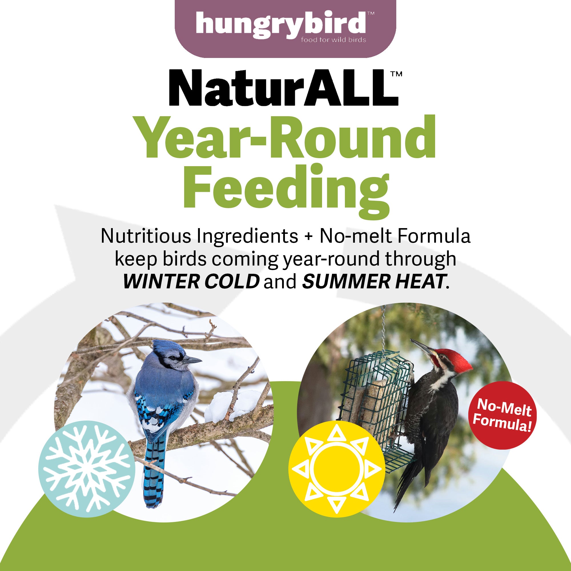 Hungrybird NaturAll Non-GMO, High-Protein Berry Suet Cake for Wild Bird Feeders