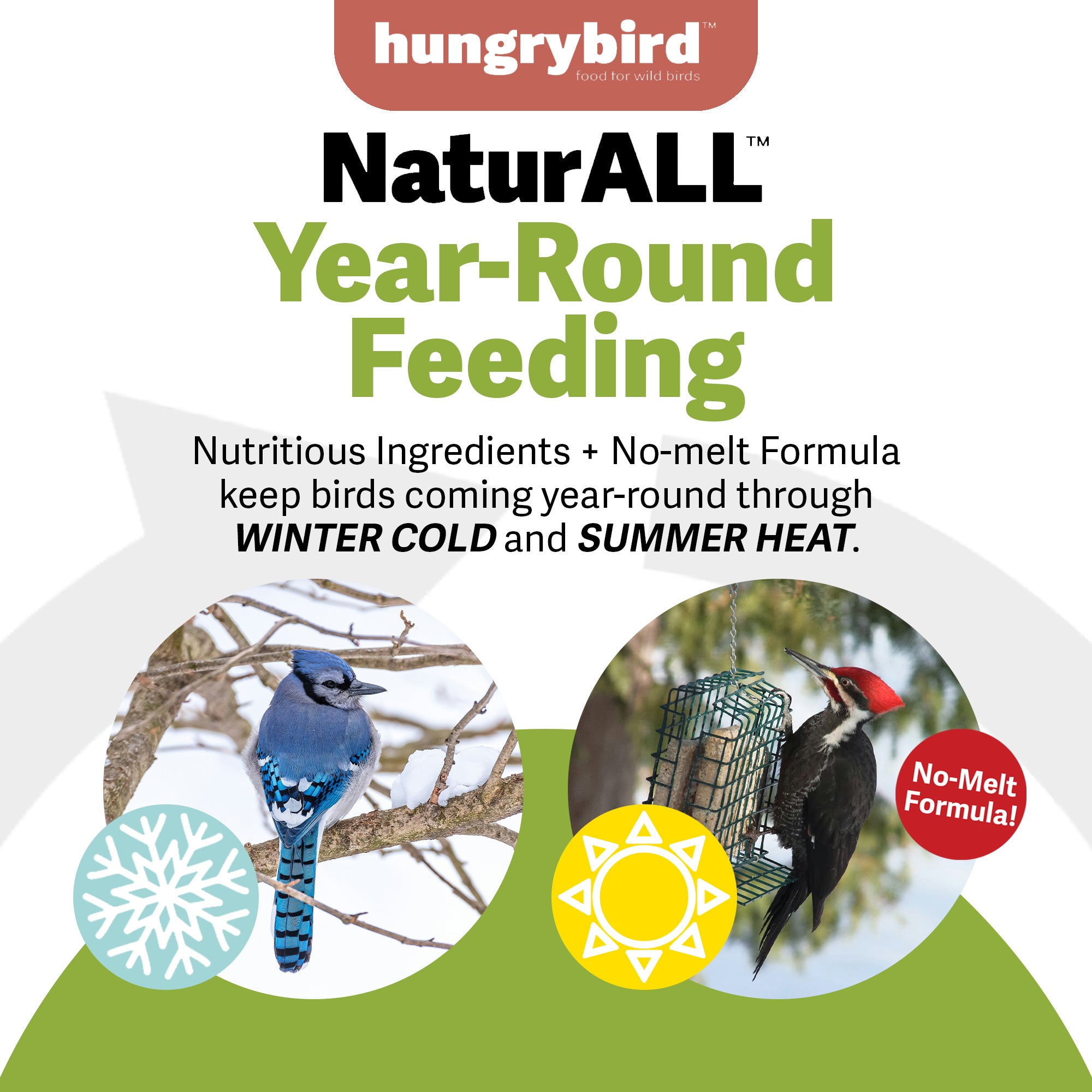 Hungrybird NaturAll Non-GMO, High-Protein Hot Pepper Suet Cake
