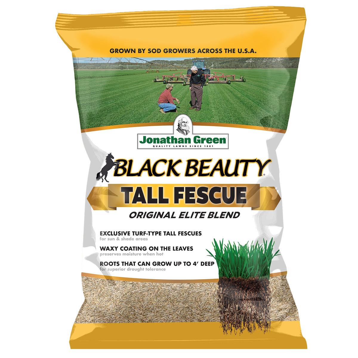Jonathan Green Black Beauty Original Tall Fescue Grass Seed Blend